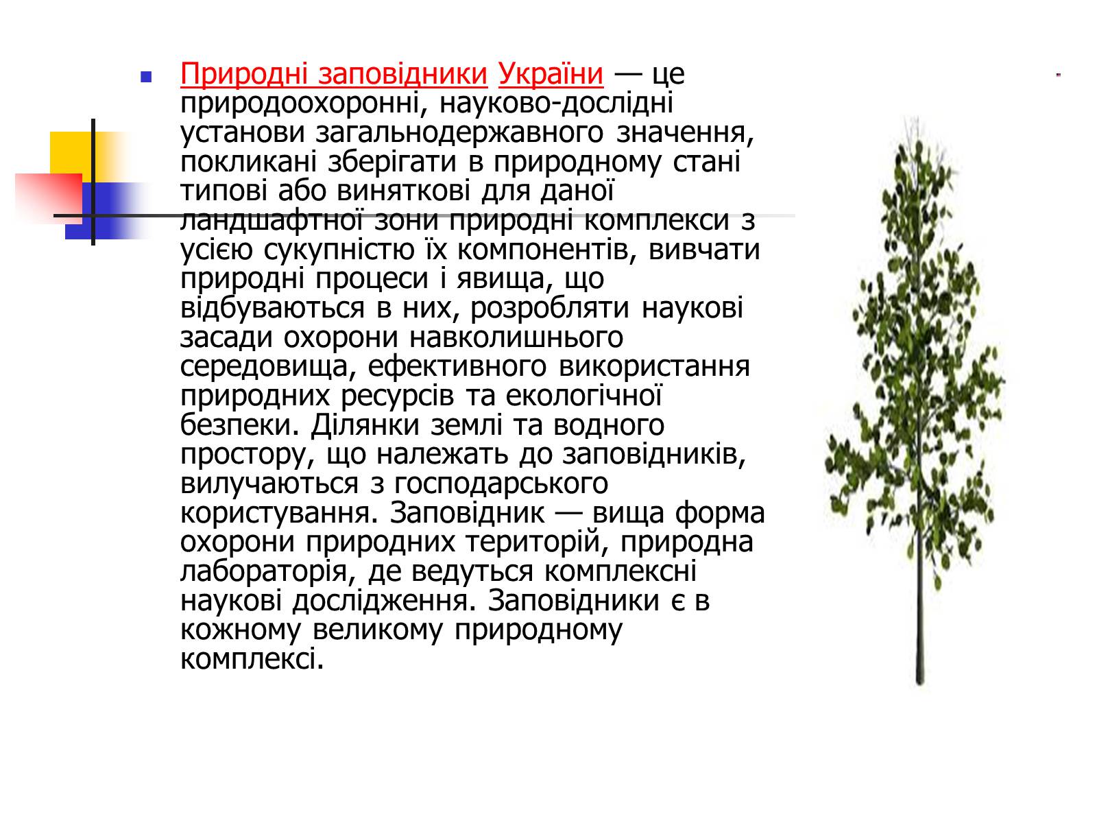 Презентація на тему «Природно-заповідний фонд України» (варіант 2) - Слайд #5 Презентація на тему «Природно-заповідний фонд України» (варіант 2) - Слайд #5