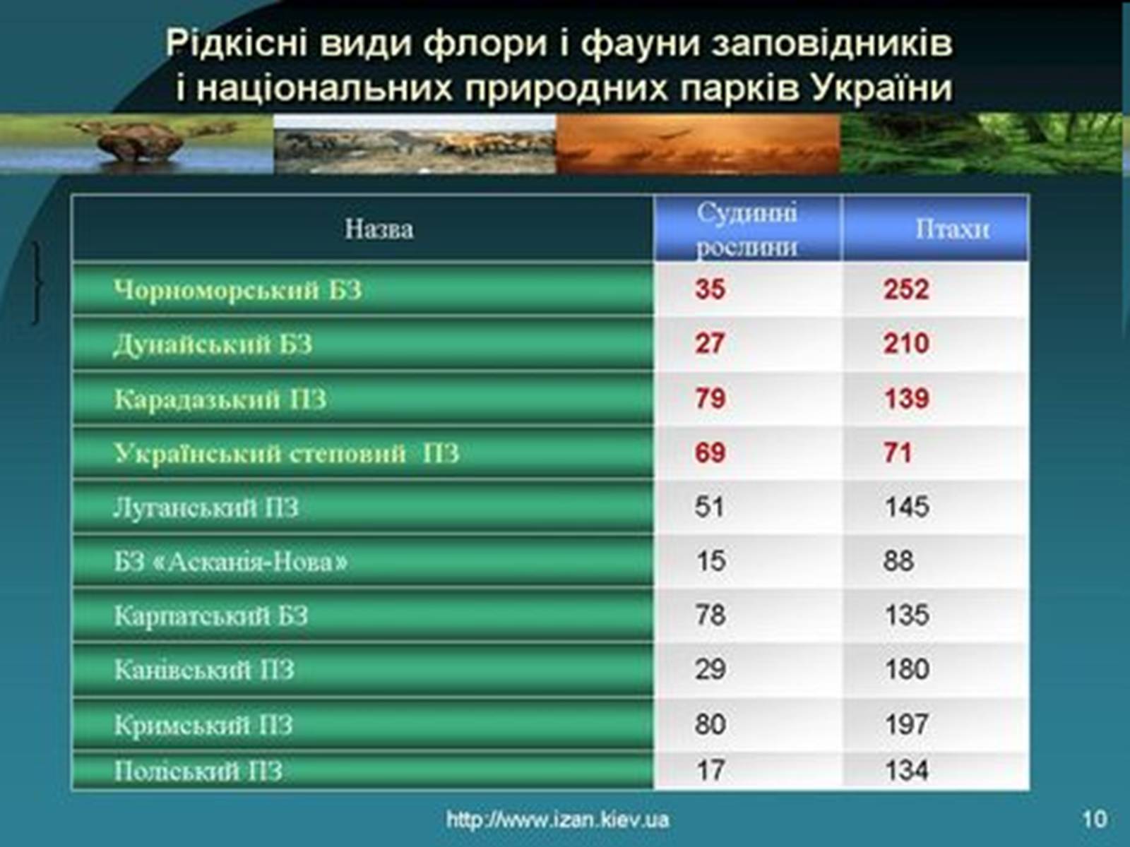 Презентація на тему «Природно-заповідний фонд України» (варіант 2) - Слайд #6 Презентація на тему «Природно-заповідний фонд України» (варіант 2) - Слайд #6