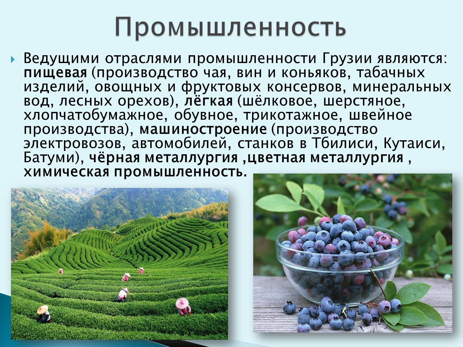 Презентація на тему «Грузия» (варіант 1) - Слайд #11 Презентація на тему «Грузия» (варіант 1) - Слайд #11