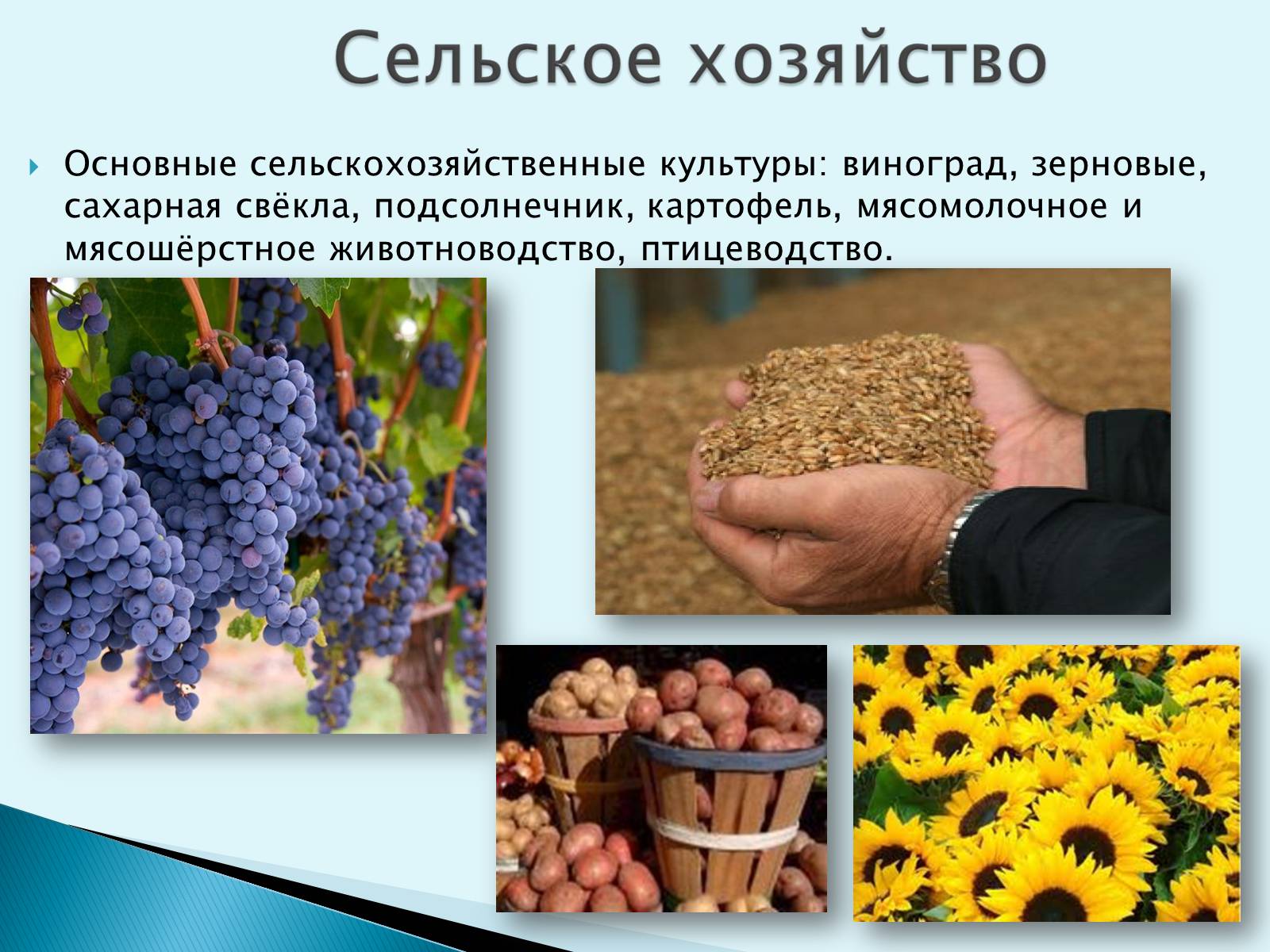 Презентація на тему «Грузия» (варіант 1) - Слайд #12 Презентація на тему «Грузия» (варіант 1) - Слайд #12