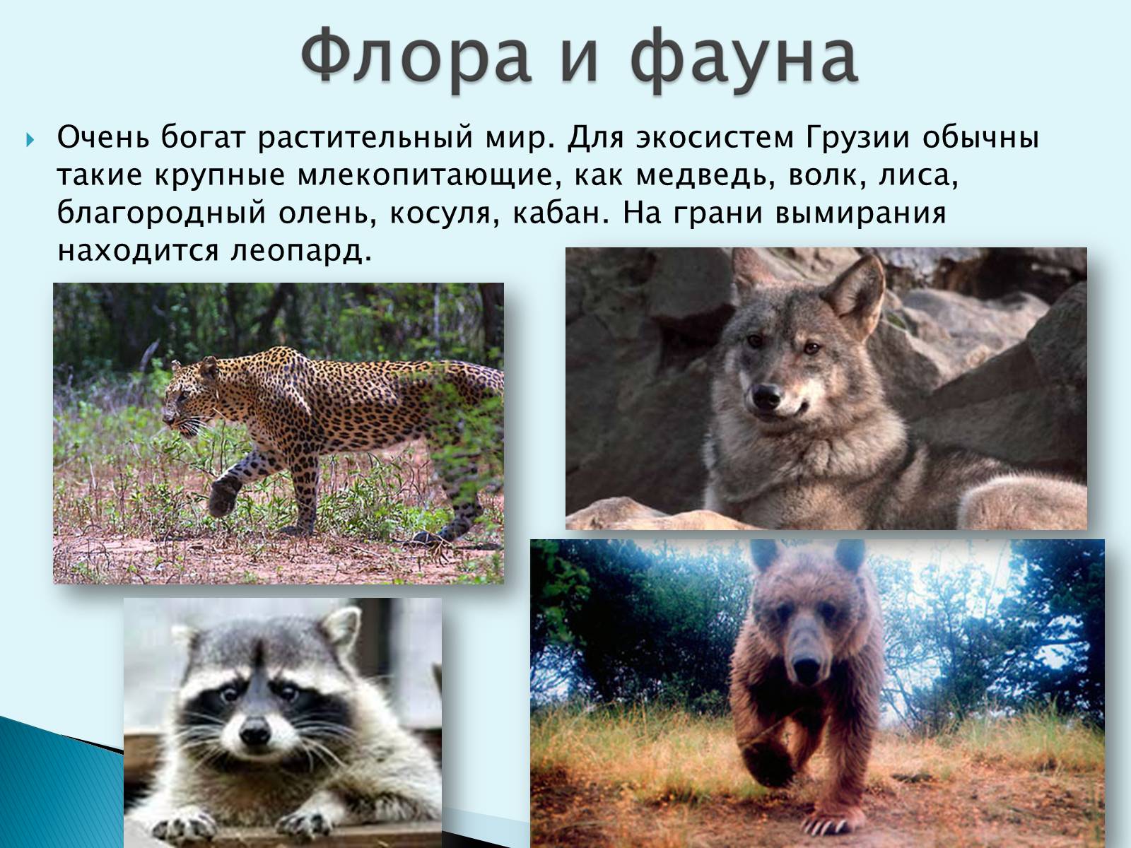 Презентація на тему «Грузия» (варіант 1) - Слайд #9 Презентація на тему «Грузия» (варіант 1) - Слайд #9