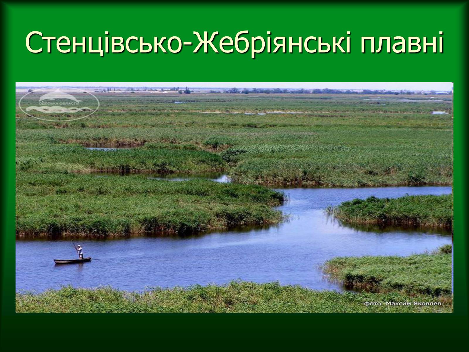 Презентація на тему «Дунайський біосферний заповідник України» - Слайд #17 Презентація на тему «Дунайський біосферний заповідник України» - Слайд #17