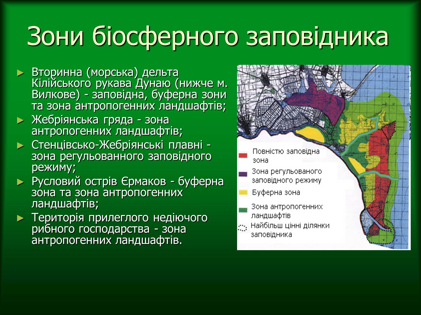 Презентація на тему «Дунайський біосферний заповідник України» - Слайд #6 Презентація на тему «Дунайський біосферний заповідник України» - Слайд #6
