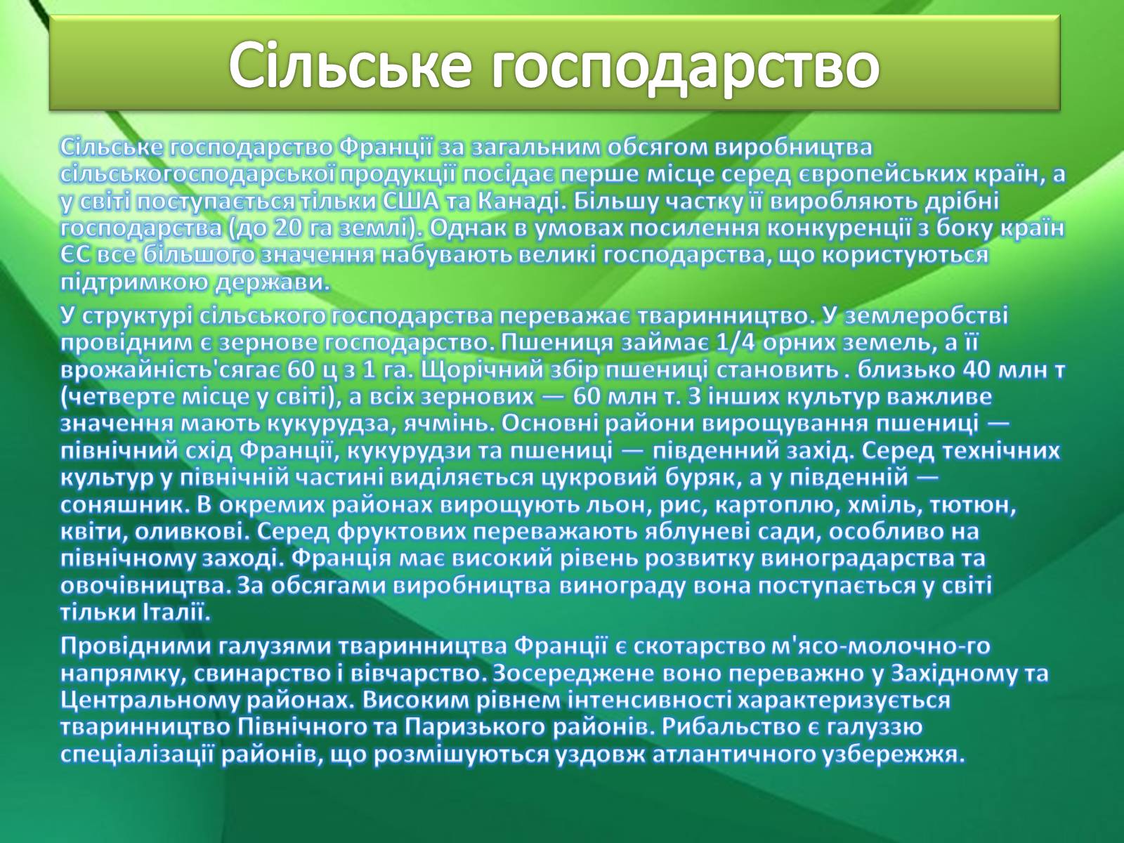 Презентація на тему «Країни світу» - Слайд #31 Презентація на тему «Країни світу» - Слайд #31