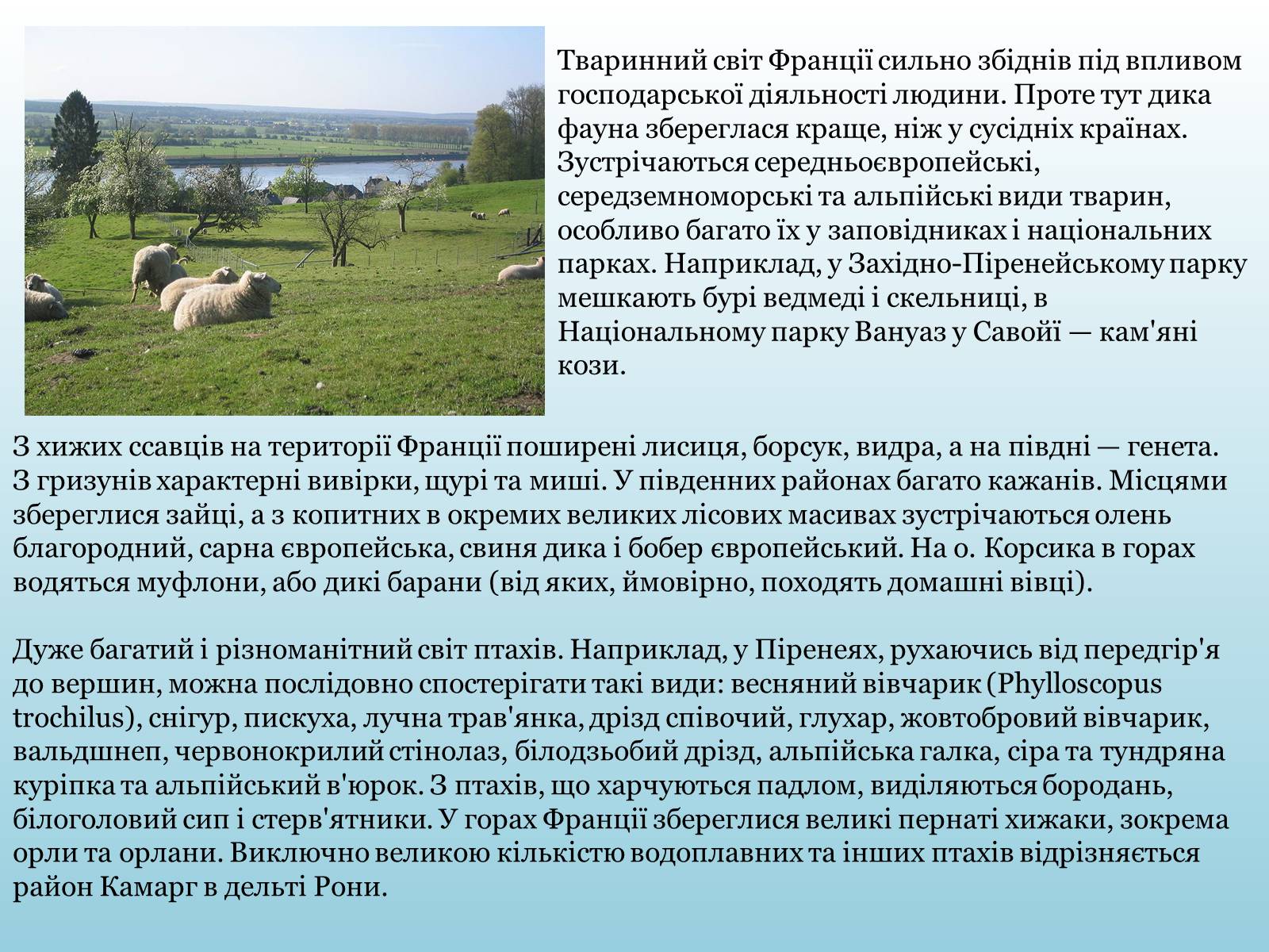 Презентація на тему «Франція» (варіант 10) - Слайд #10 Презентація на тему «Франція» (варіант 10) - Слайд #10