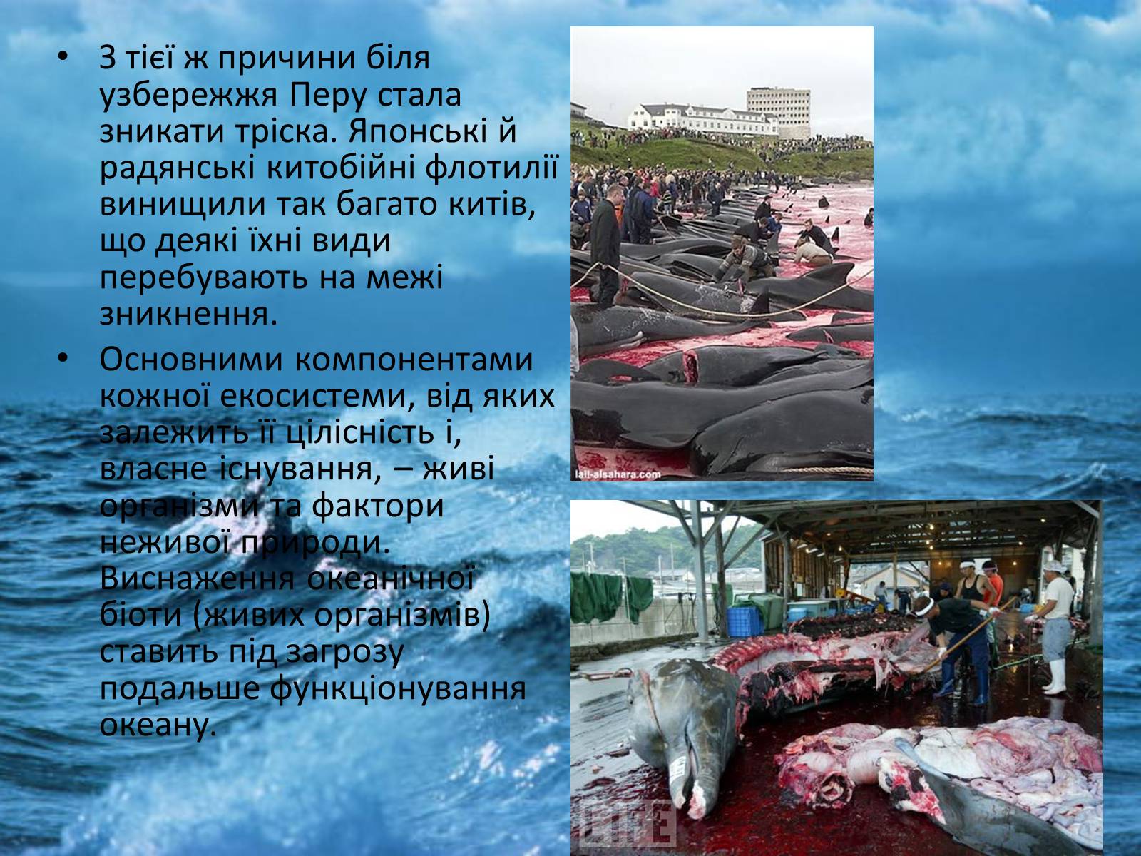 Презентація на тему «Забруднення світового океану» (варіант 4) - Слайд #4 Презентація на тему «Забруднення світового океану» (варіант 4) - Слайд #4
