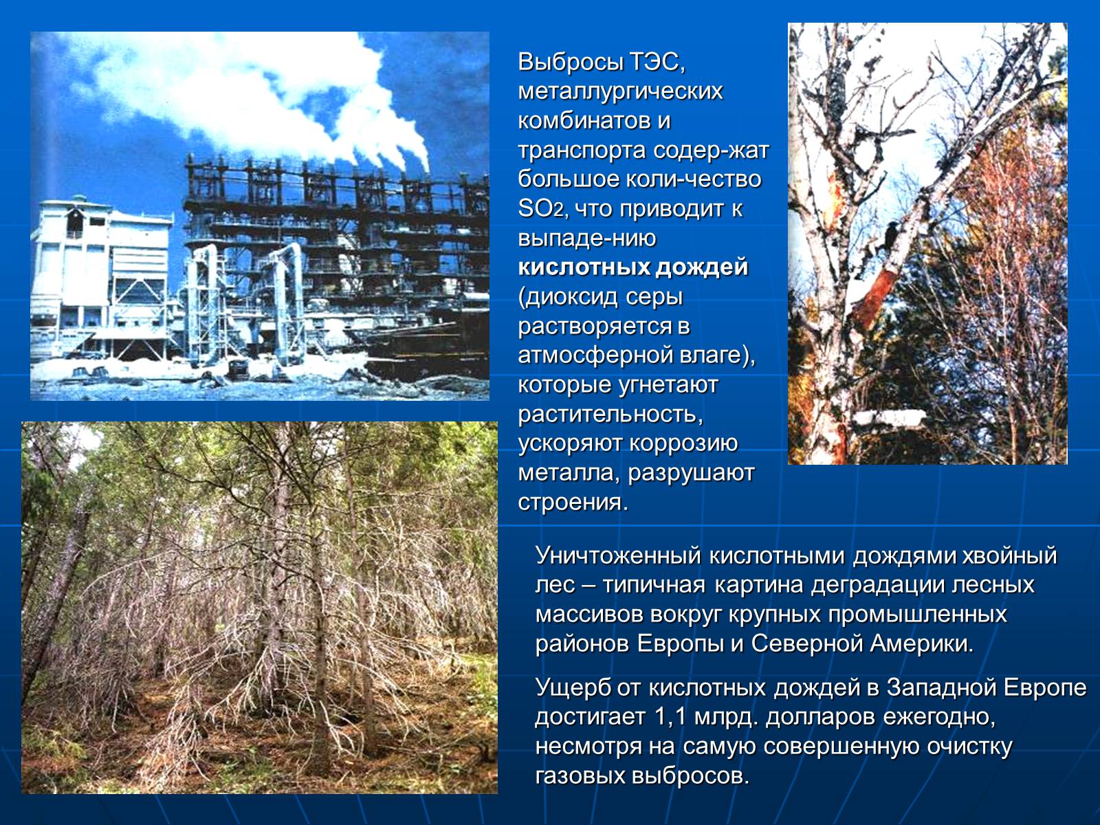 Презентація на тему «Деятельность человечества и глобальные экологические проблемы» - Слайд #40 Презентація на тему «Деятельность человечества и глобальные экологические проблемы» - Слайд #40