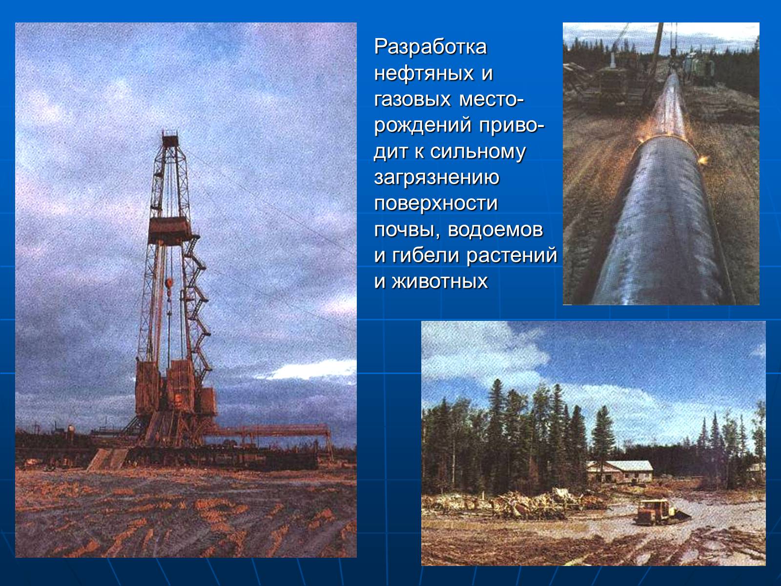 Презентація на тему «Деятельность человечества и глобальные экологические проблемы» - Слайд #58 Презентація на тему «Деятельность человечества и глобальные экологические проблемы» - Слайд #58