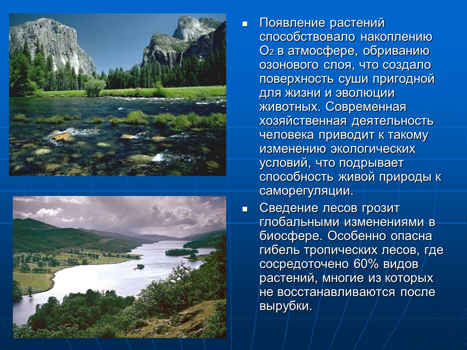 Презентація на тему «Деятельность человечества и глобальные экологические проблемы» - Слайд #63 Презентація на тему «Деятельность человечества и глобальные экологические проблемы» - Слайд #63