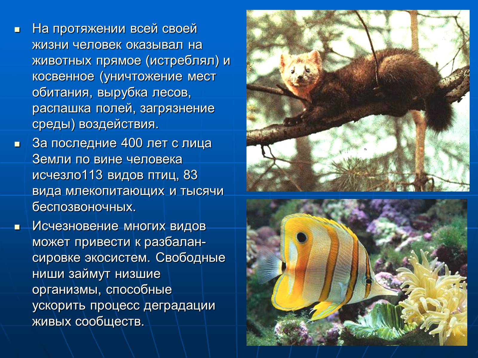 Презентація на тему «Деятельность человечества и глобальные экологические проблемы» - Слайд #66 Презентація на тему «Деятельность человечества и глобальные экологические проблемы» - Слайд #66