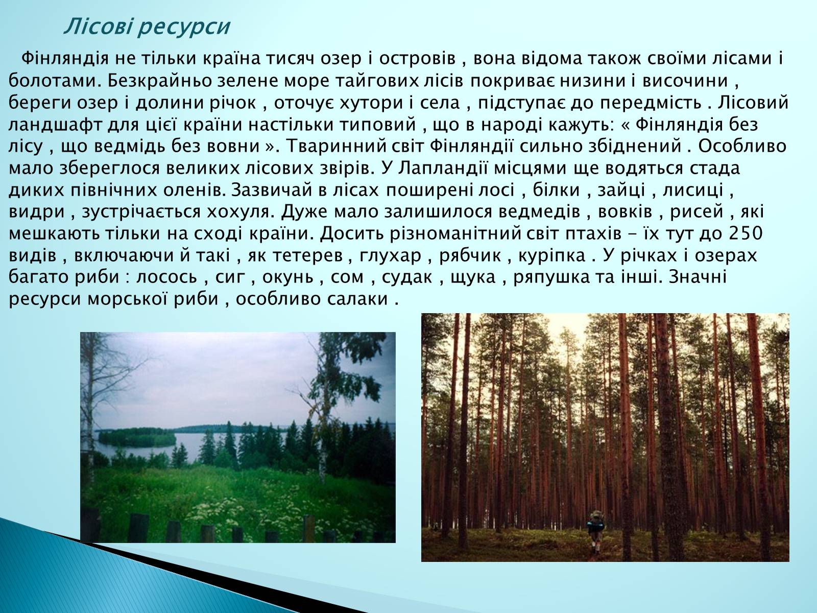Презентація на тему «Країни Європи. Фінляндія» - Слайд #8 Презентація на тему «Країни Європи. Фінляндія» - Слайд #8