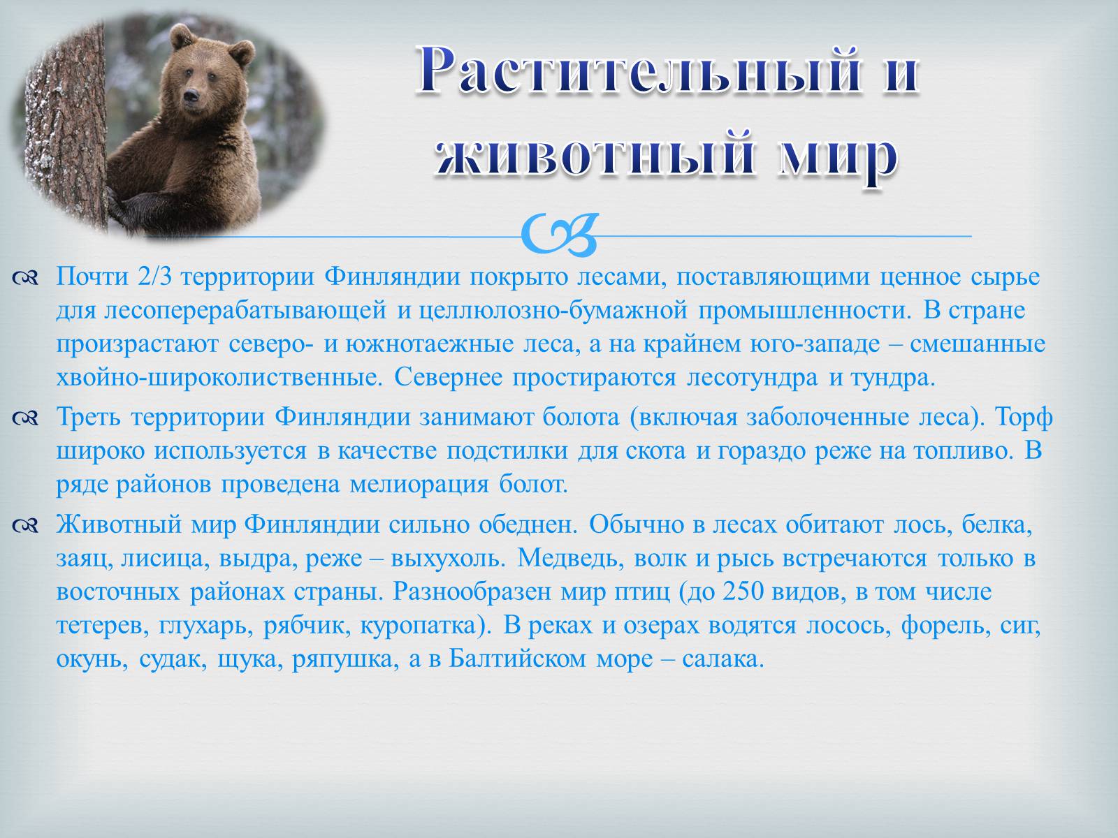 Презентація на тему «Финляндия» - Слайд #12 Презентація на тему «Финляндия» - Слайд #12