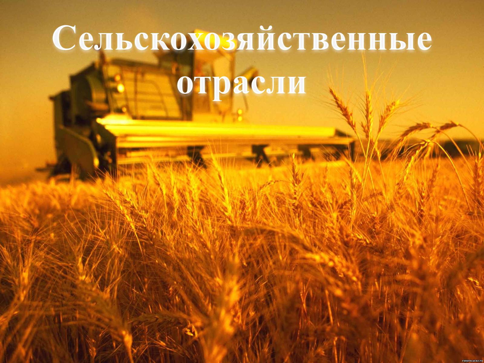 Презентація на тему «Финляндия» - Слайд #15 Презентація на тему «Финляндия» - Слайд #15
