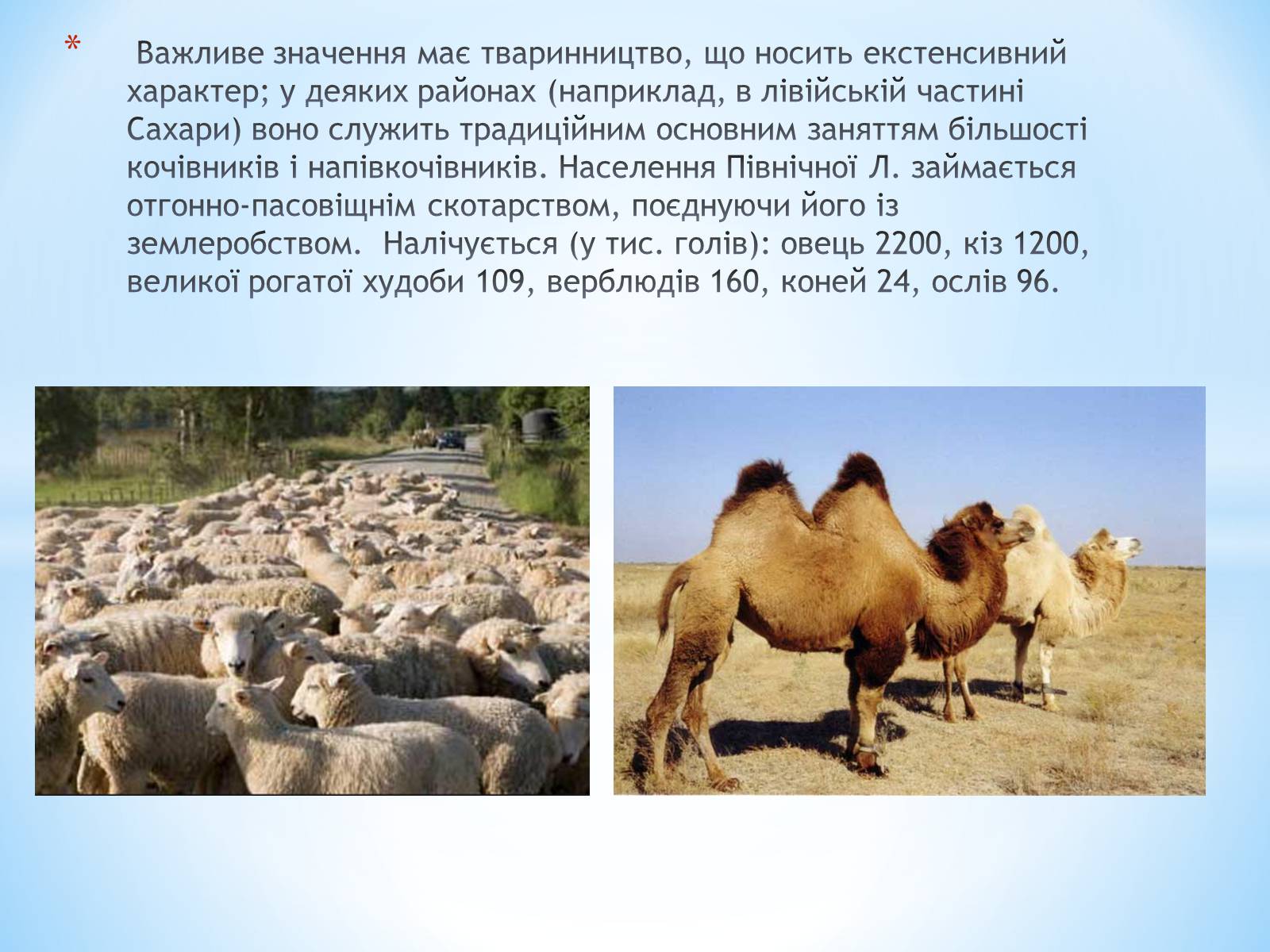 Презентація на тему «Лівія» (варіант 1) - Слайд #7 Презентація на тему «Лівія» (варіант 1) - Слайд #7