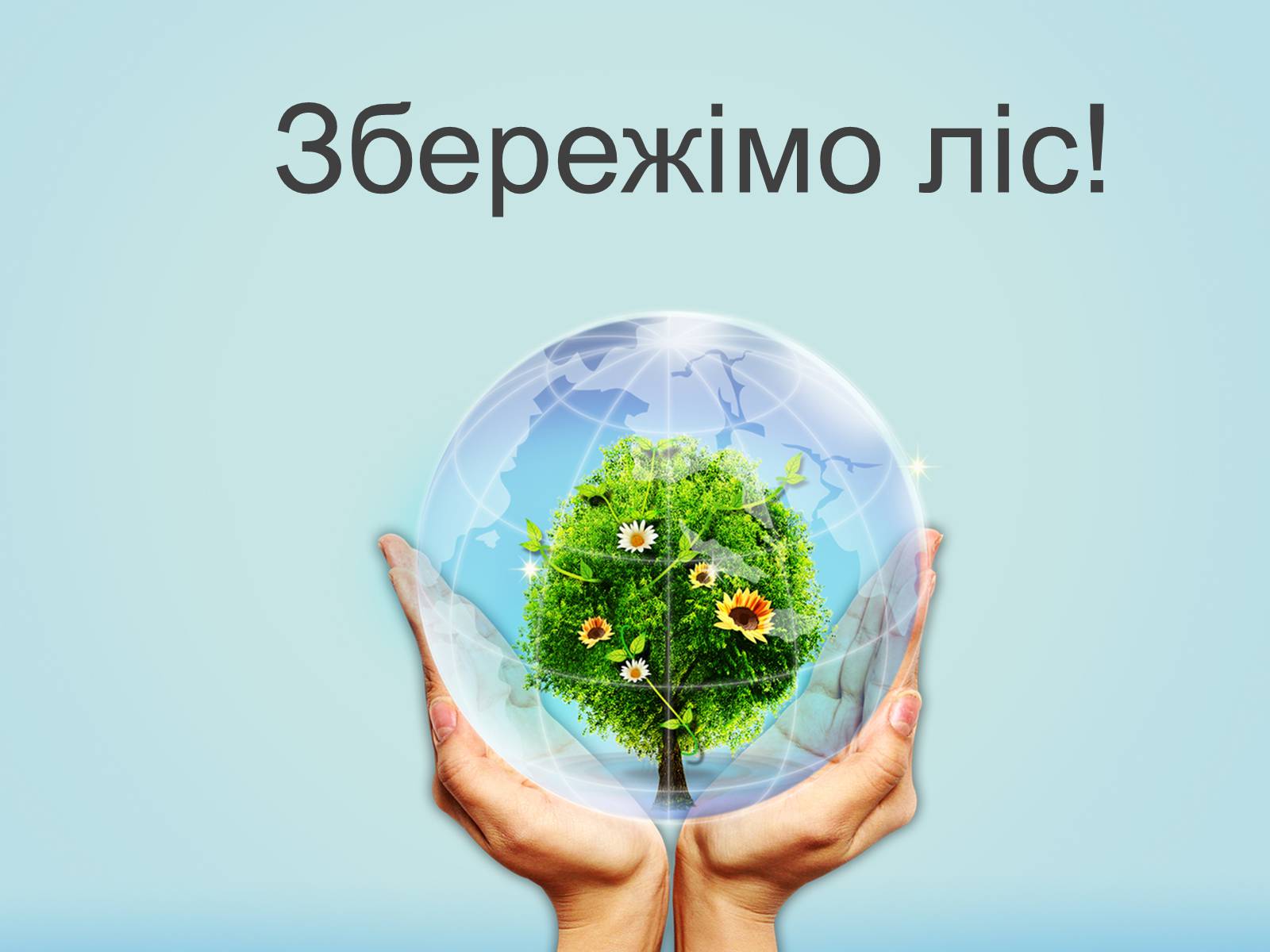 Презентація на тему «Знищення лісів на Україні» - Слайд #10 Презентація на тему «Знищення лісів на Україні» - Слайд #10