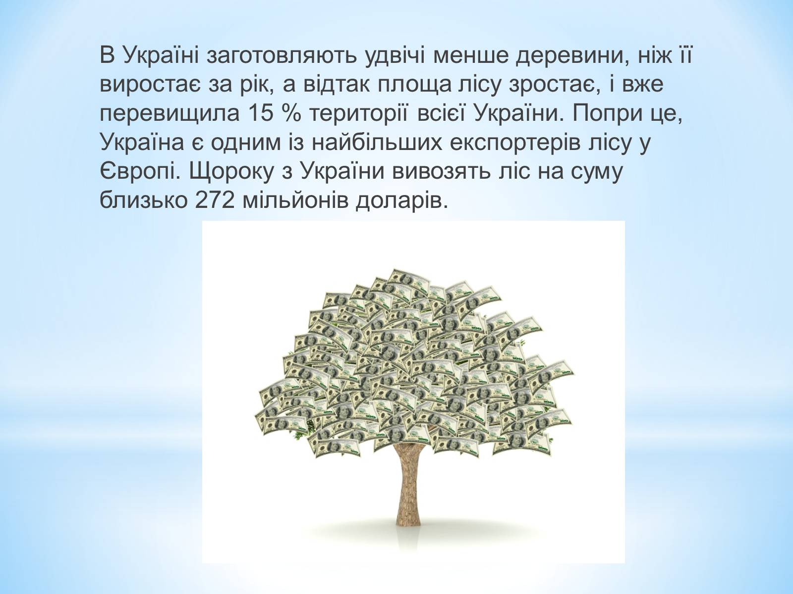 Презентація на тему «Знищення лісів на Україні» - Слайд #7 Презентація на тему «Знищення лісів на Україні» - Слайд #7
