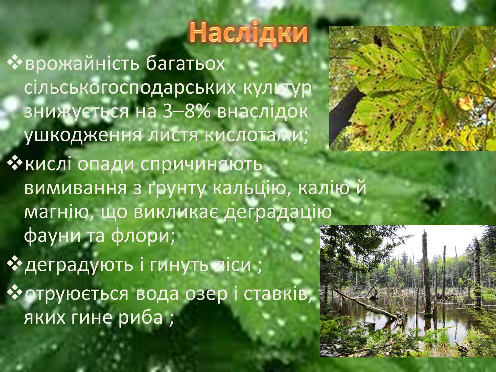 Презентація на тему «Кислотні дощі» (варіант 3) - Слайд #5 Презентація на тему «Кислотні дощі» (варіант 3) - Слайд #5