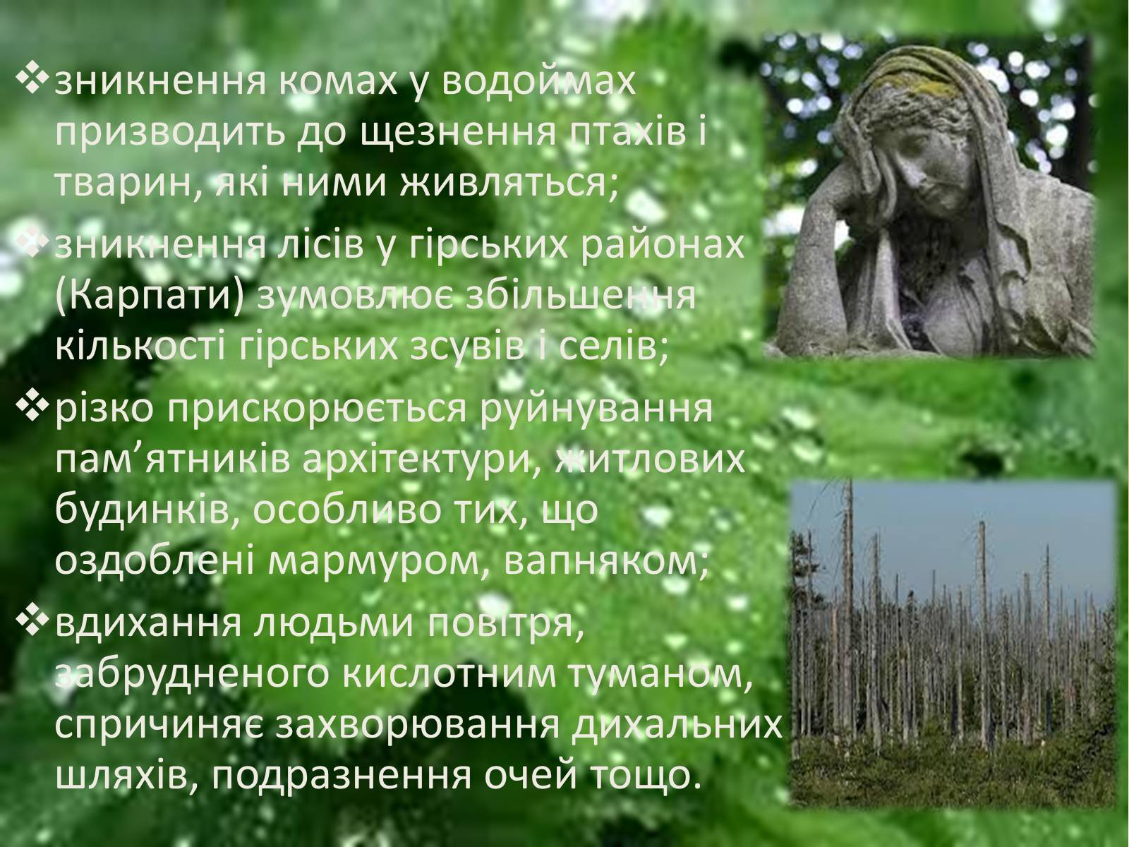 Презентація на тему «Кислотні дощі» (варіант 3) - Слайд #6 Презентація на тему «Кислотні дощі» (варіант 3) - Слайд #6