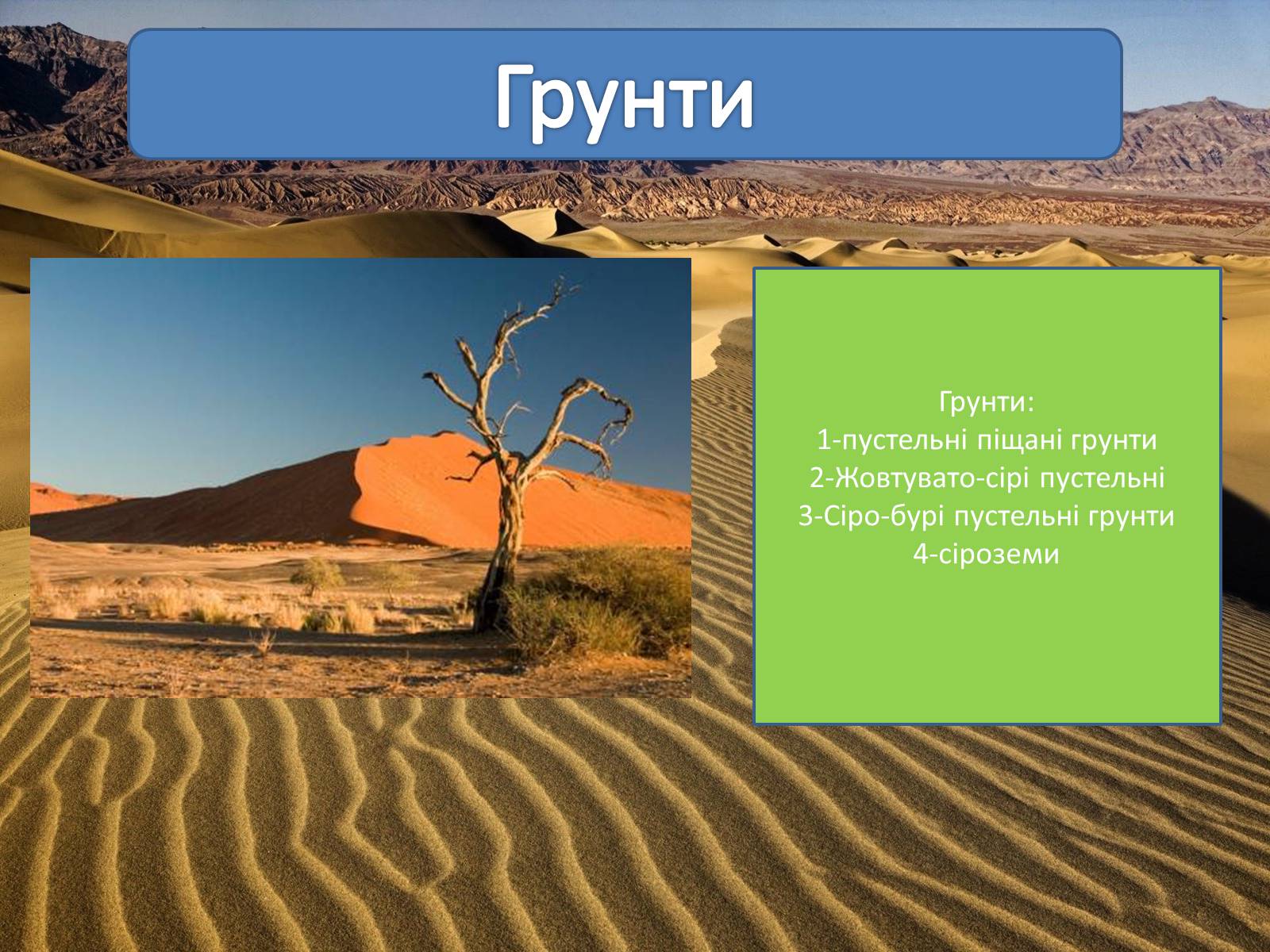 Презентація на тему «Пустелі та напівпустелі» - Слайд #5 Презентація на тему «Пустелі та напівпустелі» - Слайд #5
