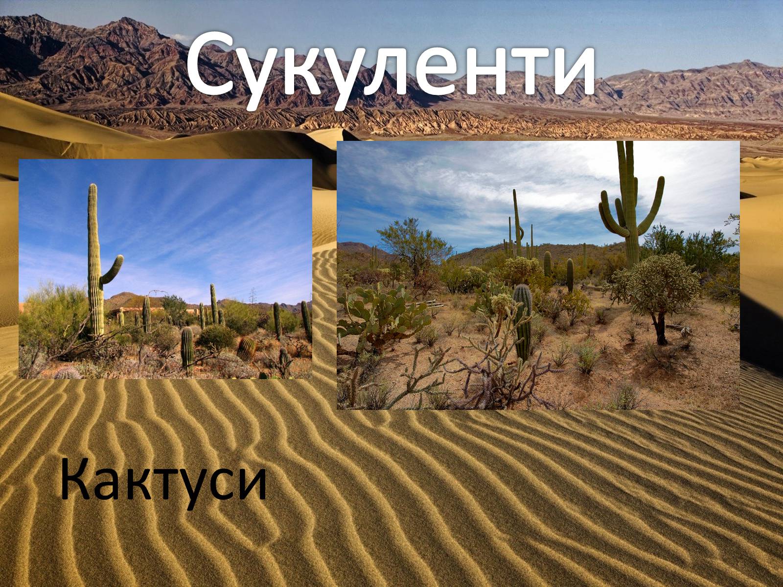Презентація на тему «Пустелі та напівпустелі» - Слайд #8 Презентація на тему «Пустелі та напівпустелі» - Слайд #8
