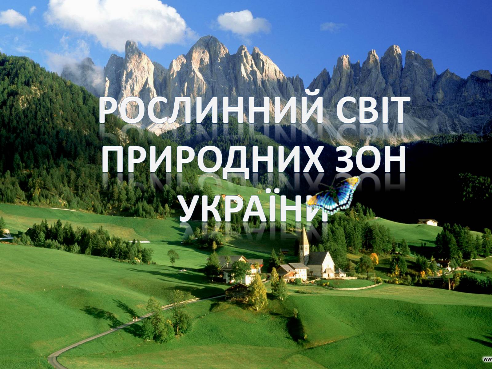 Презентація на тему «Рослинний світ природних зон України» - Слайд #1 Презентація на тему «Рослинний світ природних зон України» - Слайд #1