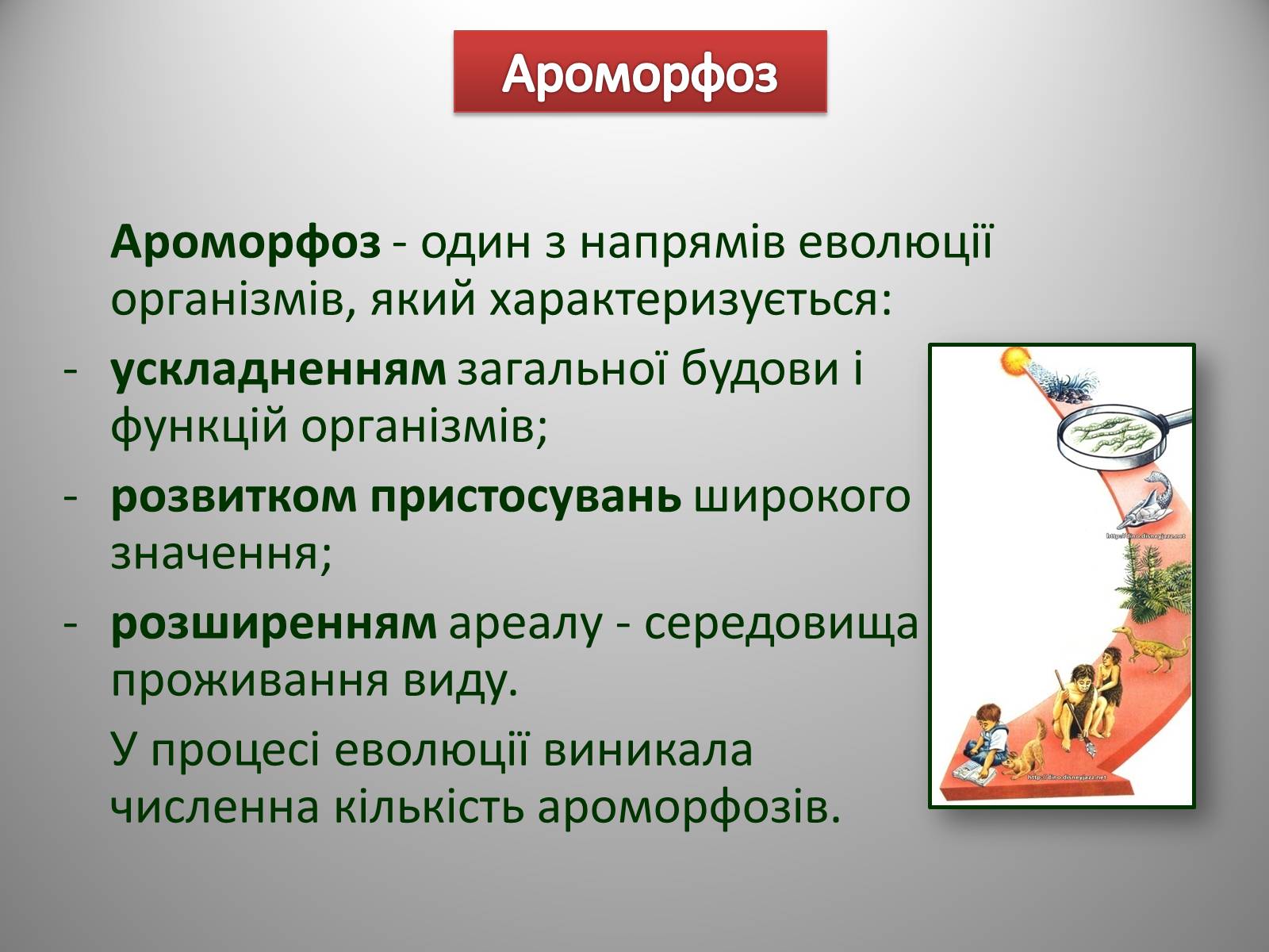 Презентація на тему «Палеозойська Ера» (варіант 2) - Слайд #5 Презентація на тему «Палеозойська Ера» (варіант 2) - Слайд #5