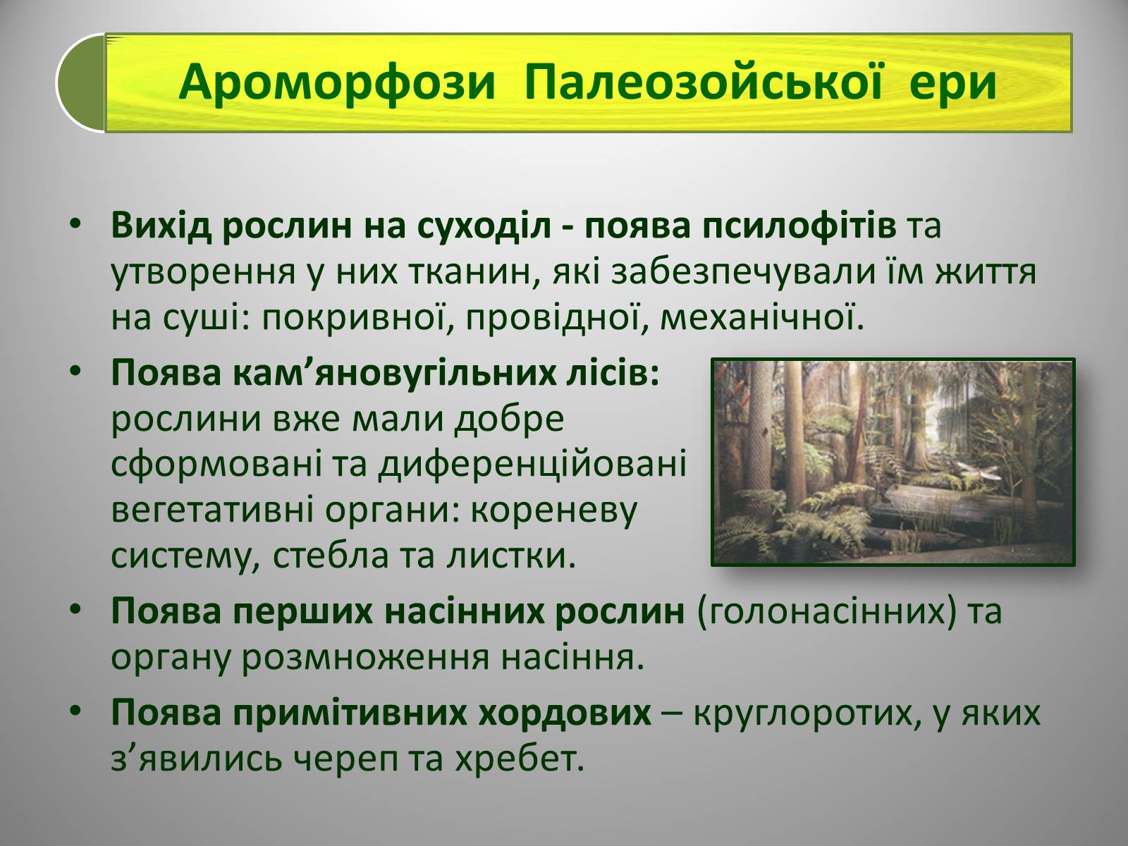 Презентація на тему «Палеозойська Ера» (варіант 2) - Слайд #6 Презентація на тему «Палеозойська Ера» (варіант 2) - Слайд #6