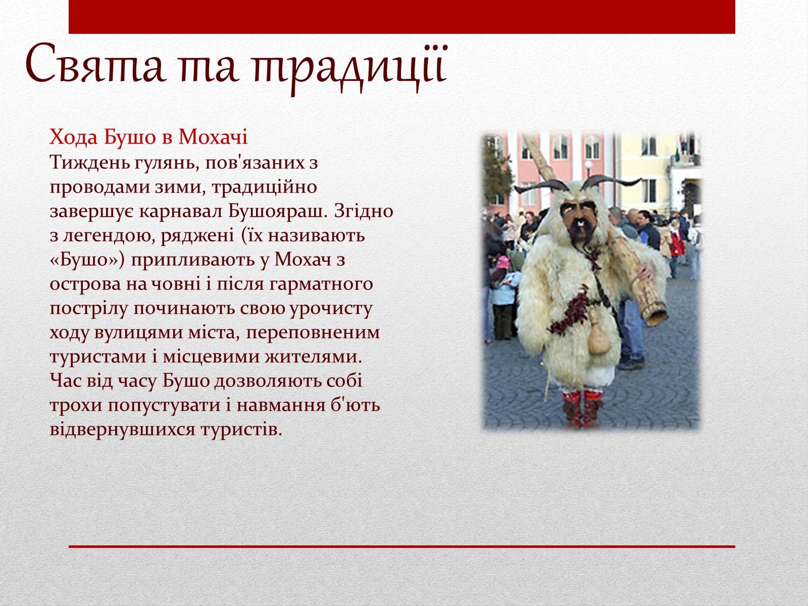 Презентація на тему «Угорщина» (варіант 3) - Слайд #11 Презентація на тему «Угорщина» (варіант 3) - Слайд #11