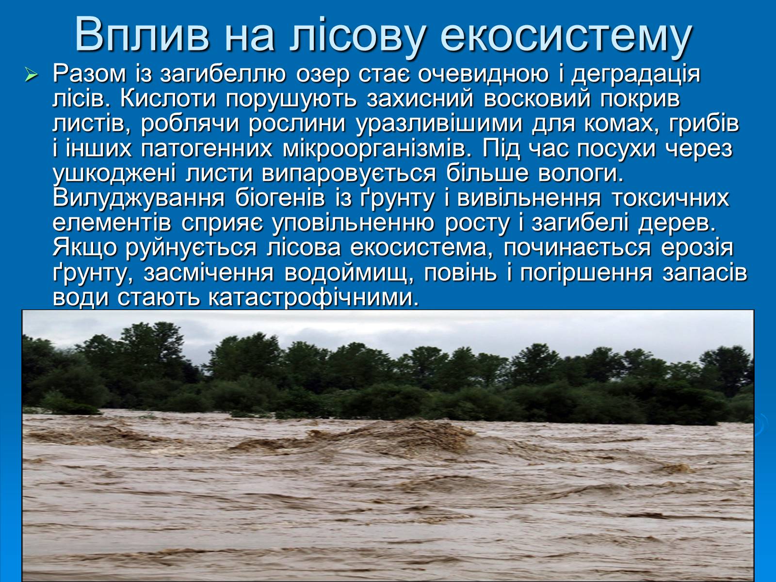 Презентація на тему «Кислотні дощі» (варіант 1) - Слайд #9 Презентація на тему «Кислотні дощі» (варіант 1) - Слайд #9