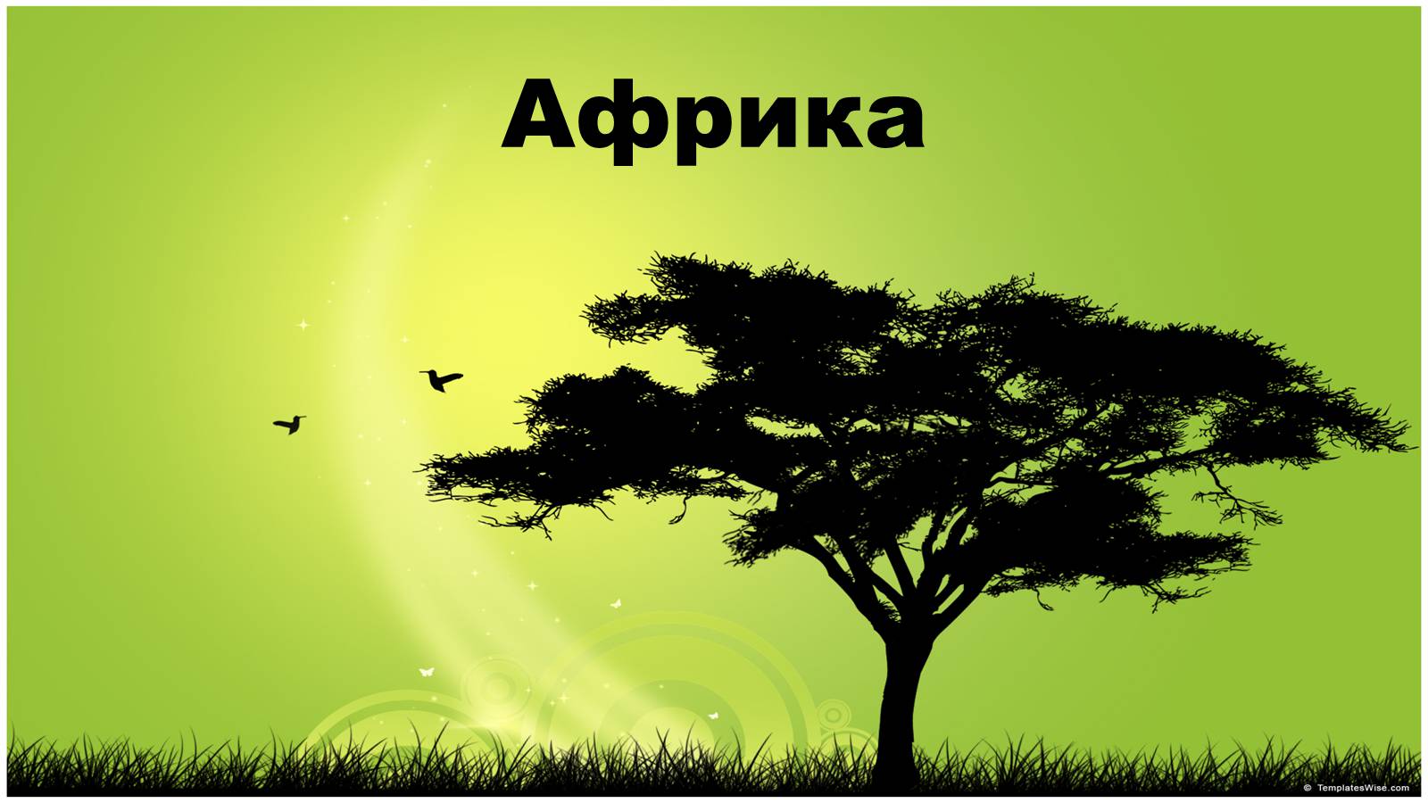 Презентація на тему «Африка» (варіант 13) - Слайд #1 Презентація на тему «Африка» (варіант 13) - Слайд #1