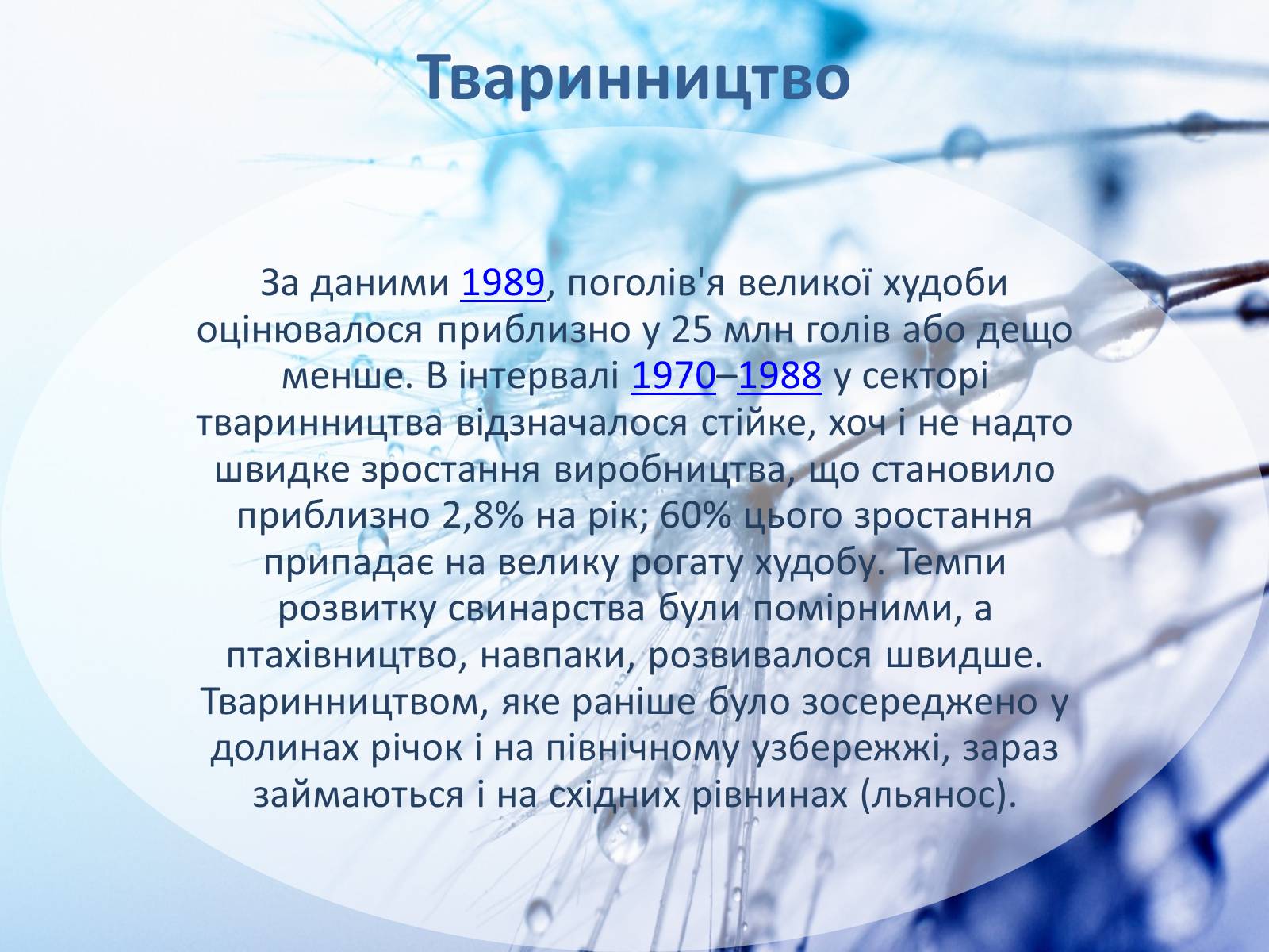 Презентація на тему «Колумбія» (варіант 2) - Слайд #10 Презентація на тему «Колумбія» (варіант 2) - Слайд #10
