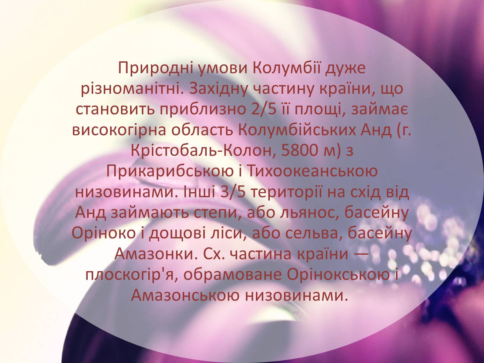 Презентація на тему «Колумбія» (варіант 2) - Слайд #7 Презентація на тему «Колумбія» (варіант 2) - Слайд #7