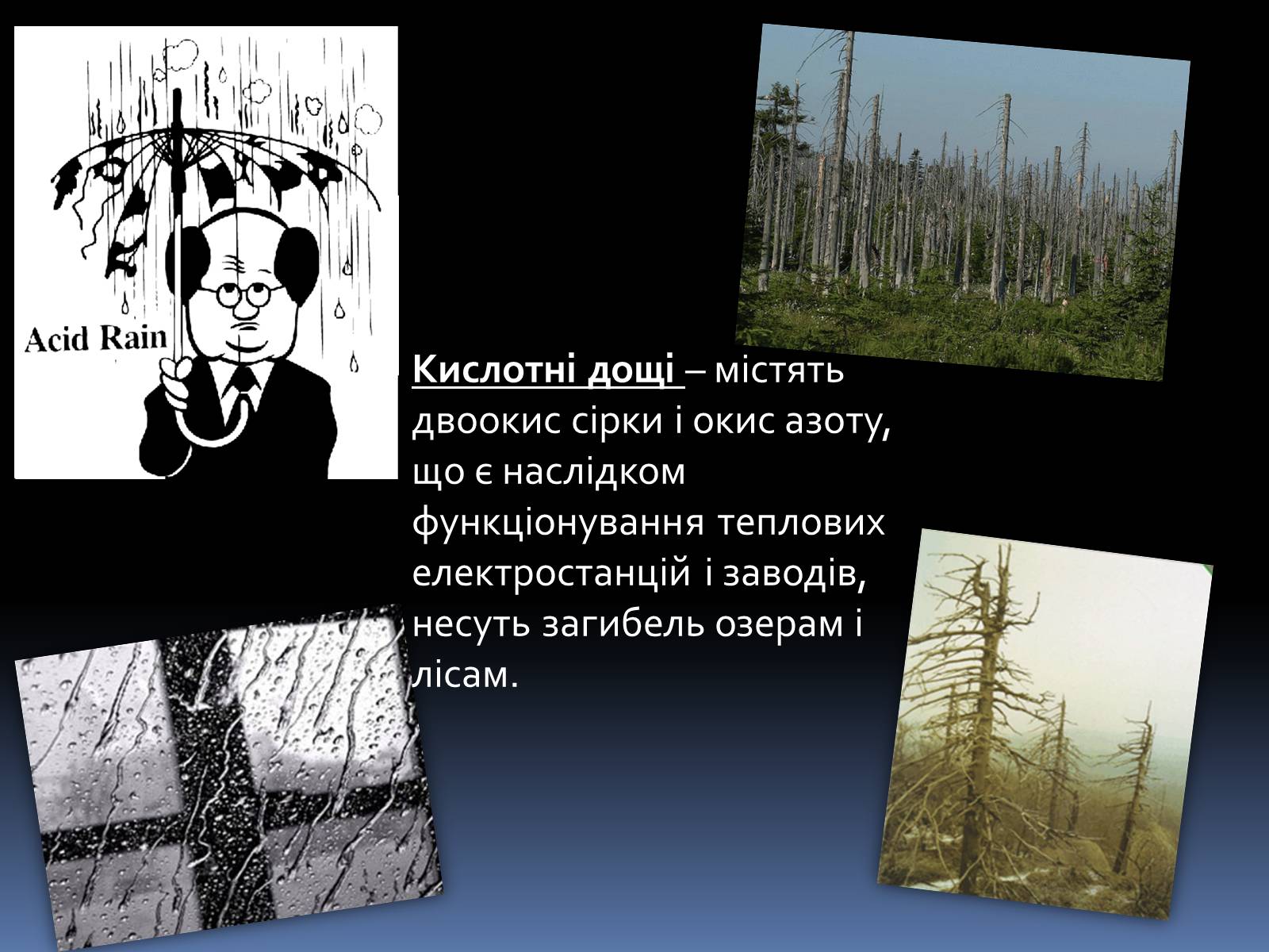 Презентація на тему «Глобальні екологічні проблеми людства» - Слайд #10 Презентація на тему «Глобальні екологічні проблеми людства» - Слайд #10