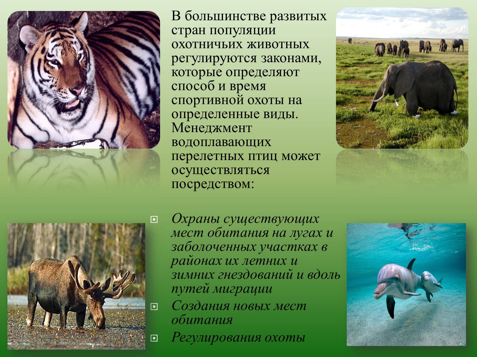 Презентація на тему «Человек и природа» - Слайд #10 Презентація на тему «Человек и природа» - Слайд #10