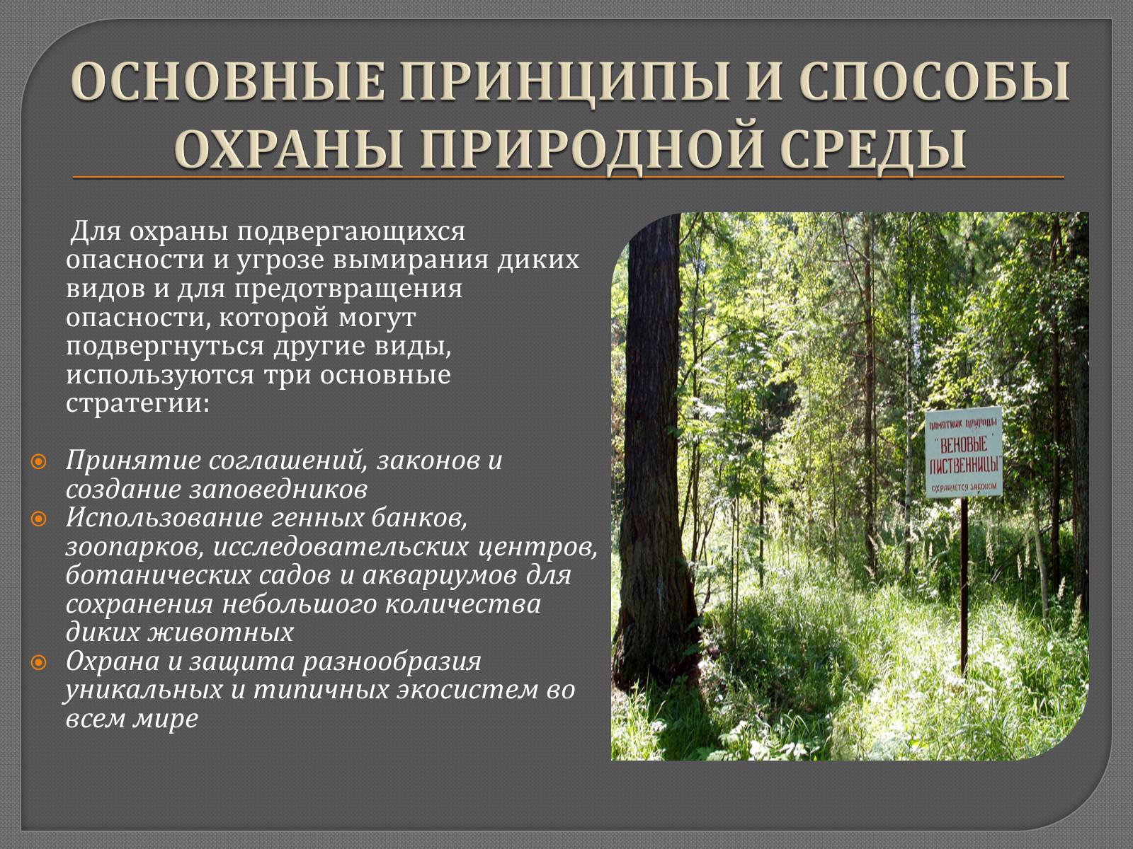Презентація на тему «Человек и природа» - Слайд #9 Презентація на тему «Человек и природа» - Слайд #9