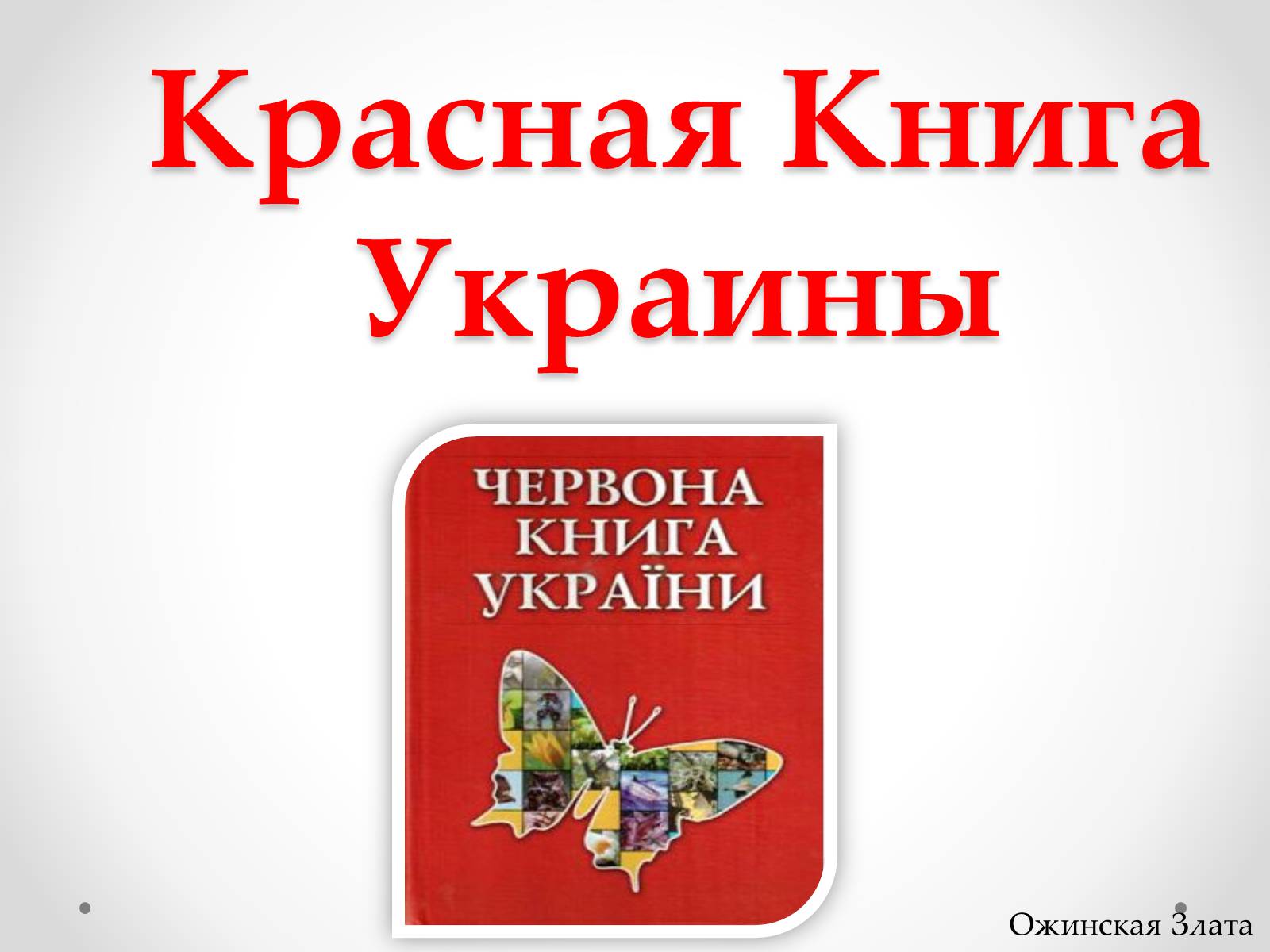 Презентація на тему «Красная Книга Украины» (варіант 1) - Слайд #1 Презентація на тему «Красная Книга Украины» (варіант 1) - Слайд #1
