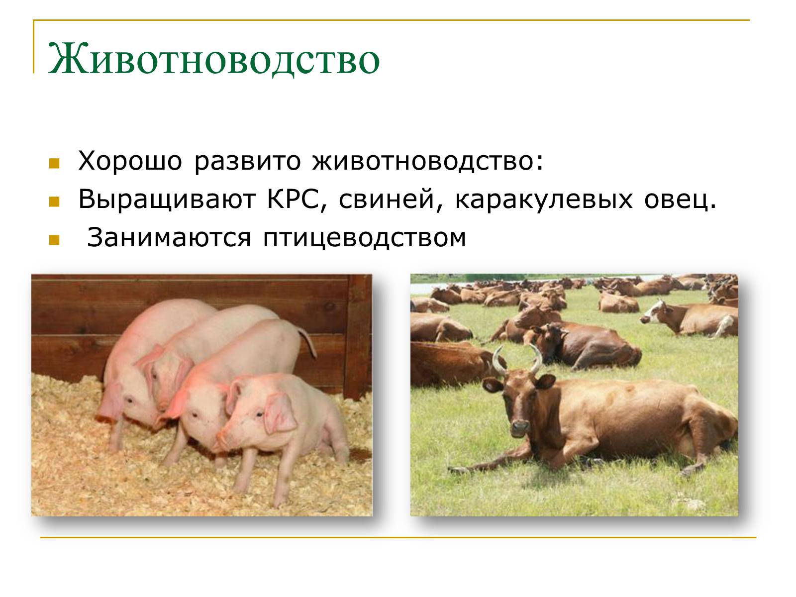 Презентація на тему «Республика Молдова» - Слайд #24 Презентація на тему «Республика Молдова» - Слайд #24