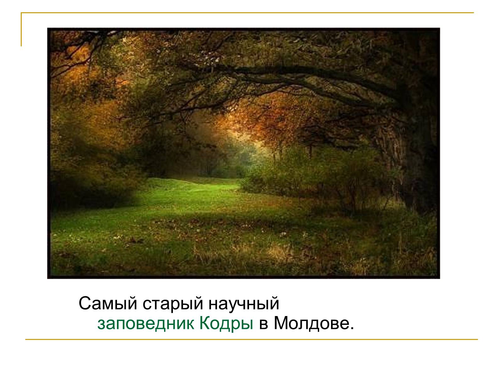 Презентація на тему «Республика Молдова» - Слайд #34 Презентація на тему «Республика Молдова» - Слайд #34
