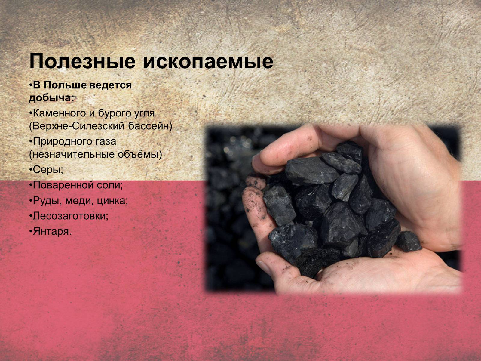 Презентація на тему «Польща» (варіант 5) - Слайд #12 Презентація на тему «Польща» (варіант 5) - Слайд #12