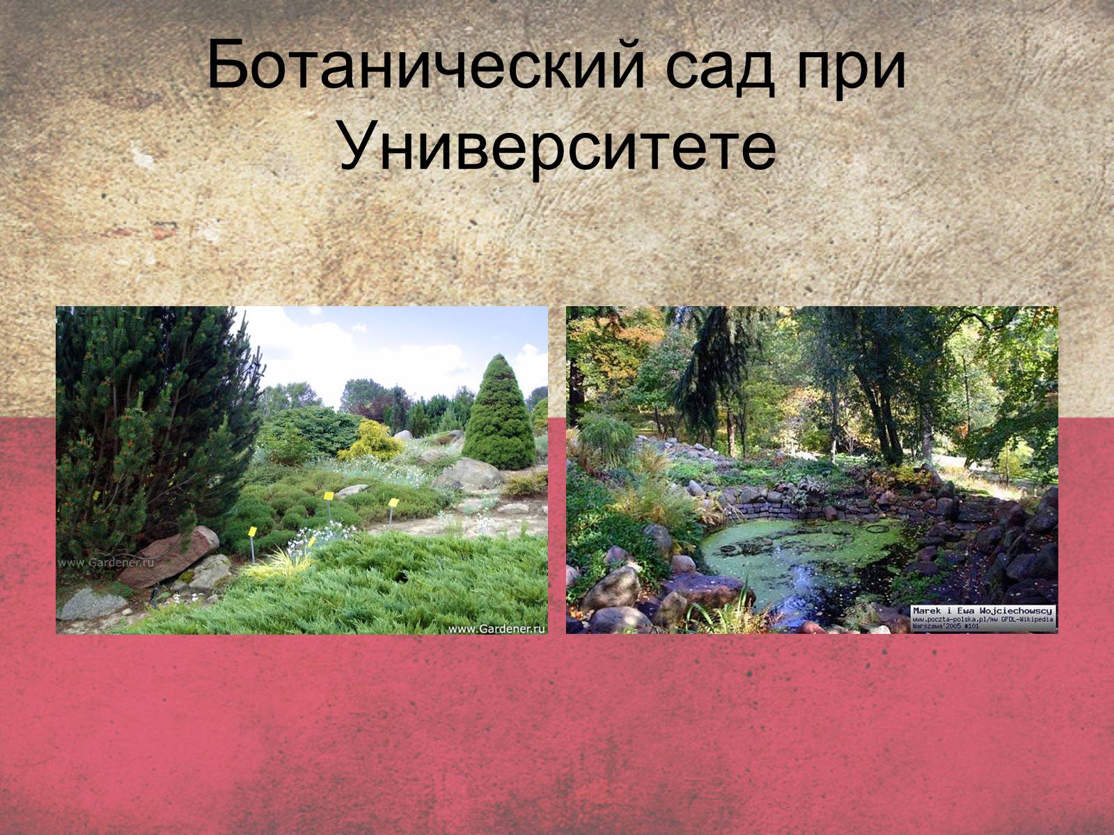 Презентація на тему «Польща» (варіант 5) - Слайд #26 Презентація на тему «Польща» (варіант 5) - Слайд #26