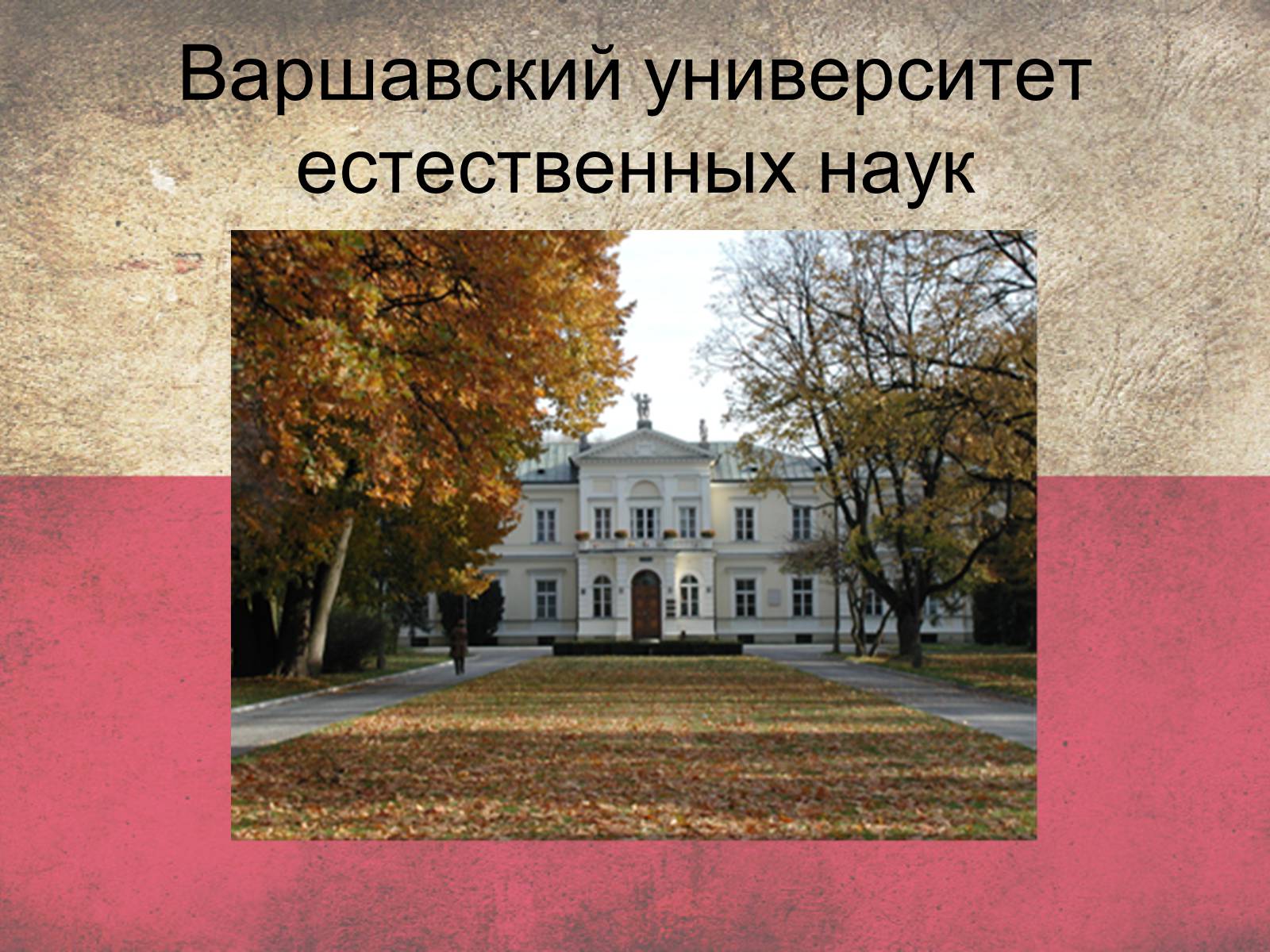 Презентація на тему «Польща» (варіант 5) - Слайд #30 Презентація на тему «Польща» (варіант 5) - Слайд #30