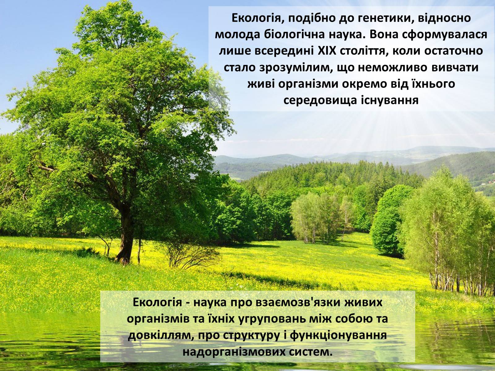 Презентація на тему «Особливості сучасної екології» - Слайд #4 Презентація на тему «Особливості сучасної екології» - Слайд #4