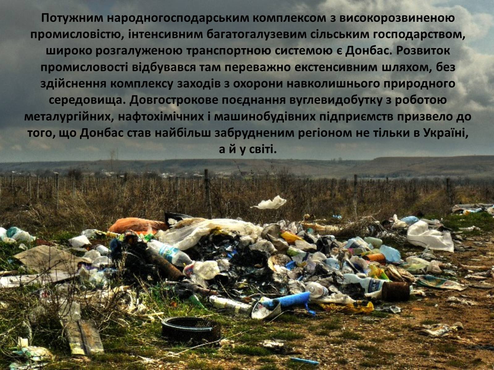 Презентація на тему «Особливості сучасної екології» - Слайд #45 Презентація на тему «Особливості сучасної екології» - Слайд #45