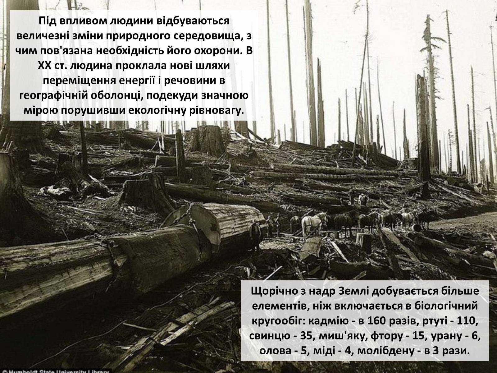 Презентація на тему «Особливості сучасної екології» - Слайд #6 Презентація на тему «Особливості сучасної екології» - Слайд #6