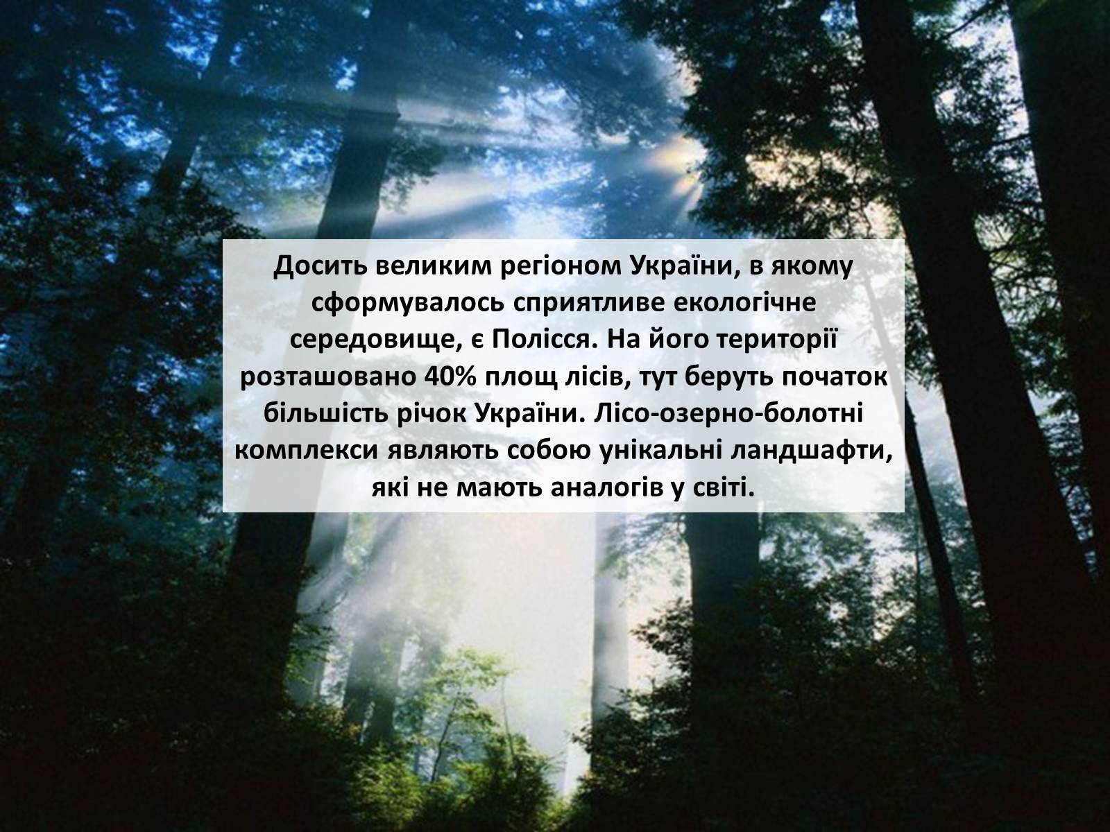 Презентація на тему «Особливості сучасної екології» - Слайд #68 Презентація на тему «Особливості сучасної екології» - Слайд #68