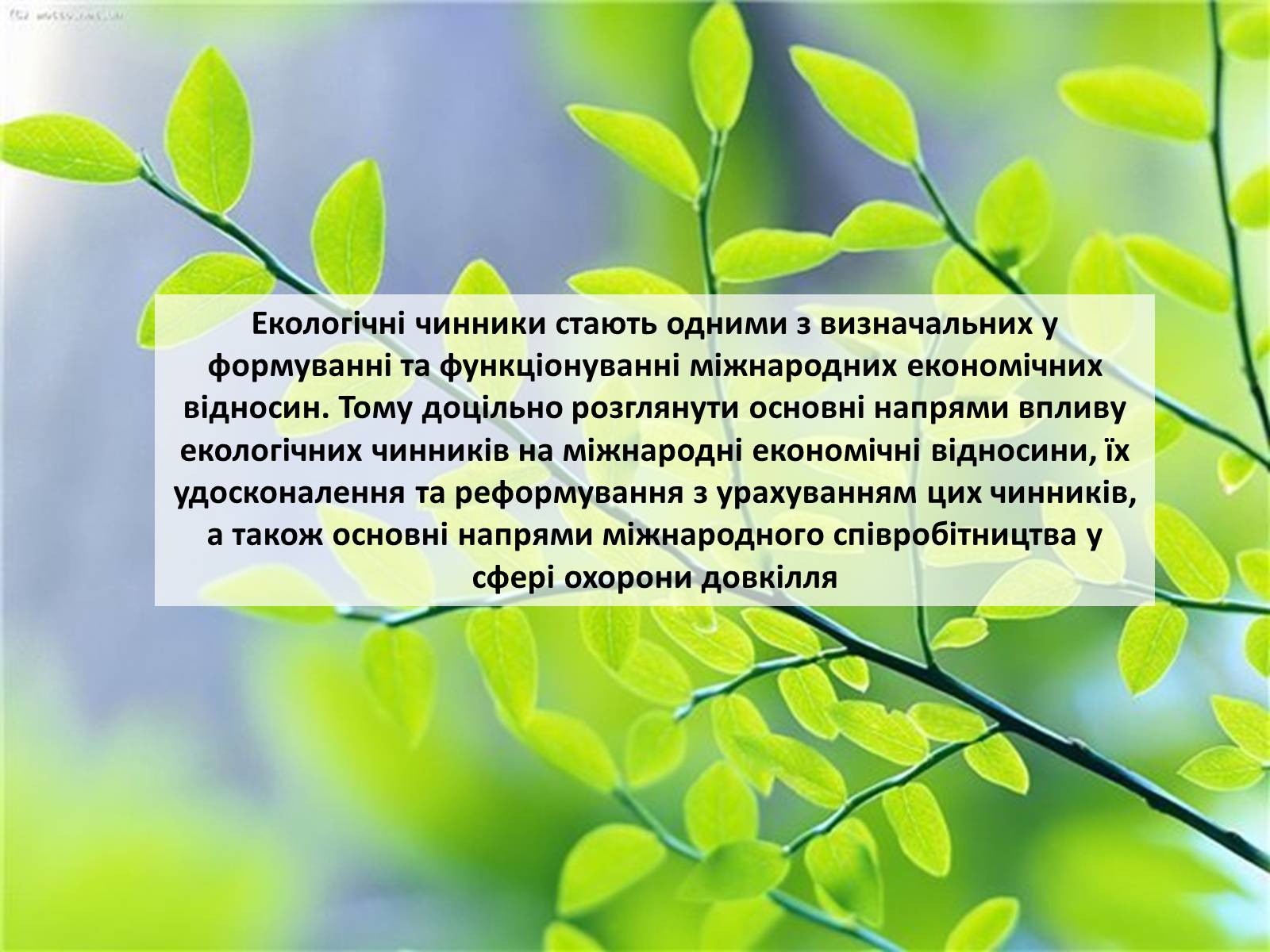 Презентація на тему «Особливості сучасної екології» - Слайд #81 Презентація на тему «Особливості сучасної екології» - Слайд #81