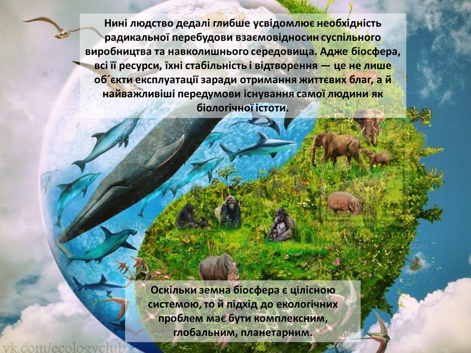 Презентація на тему «Особливості сучасної екології» - Слайд #84 Презентація на тему «Особливості сучасної екології» - Слайд #84