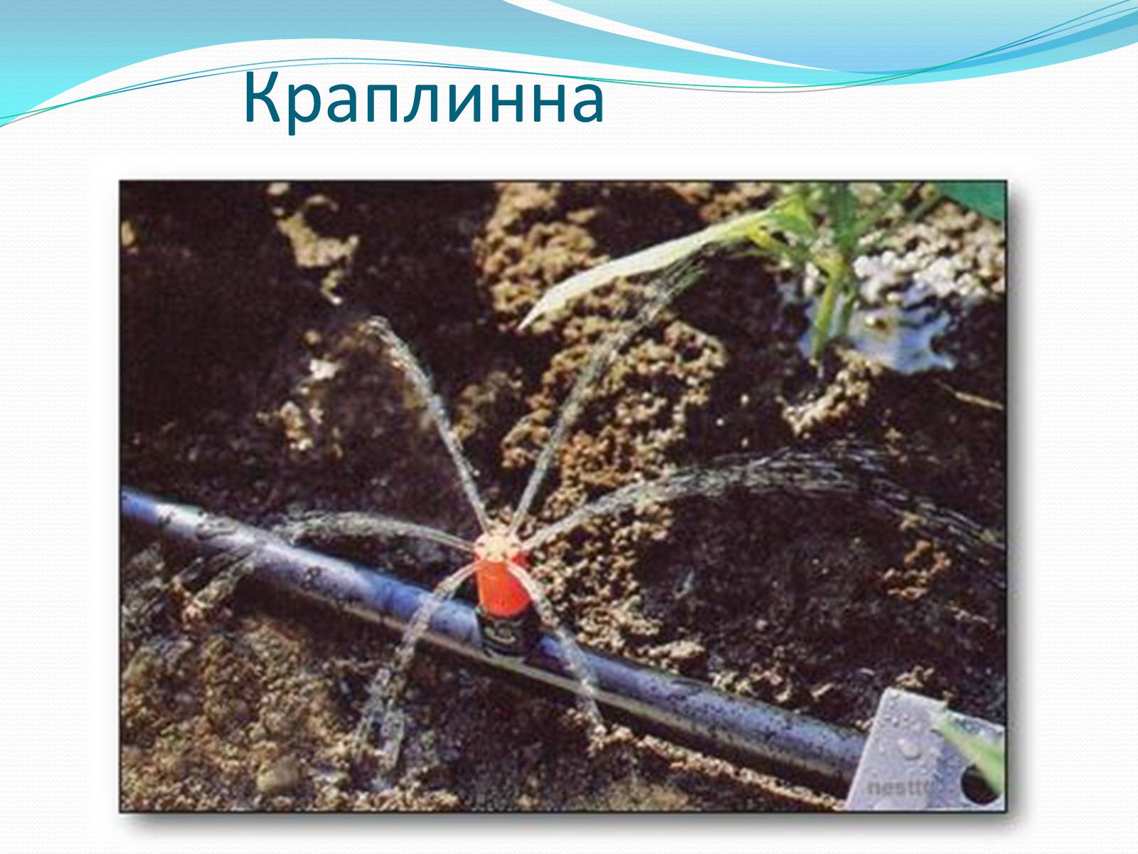 Презентація на тему «Водяна та вітряна ерозія грунтів» - Слайд #4 Презентація на тему «Водяна та вітряна ерозія грунтів» - Слайд #4