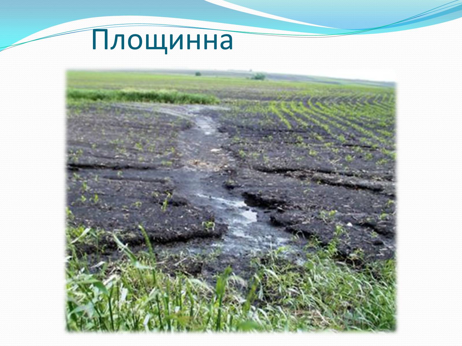 Презентація на тему «Водяна та вітряна ерозія грунтів» - Слайд #5 Презентація на тему «Водяна та вітряна ерозія грунтів» - Слайд #5