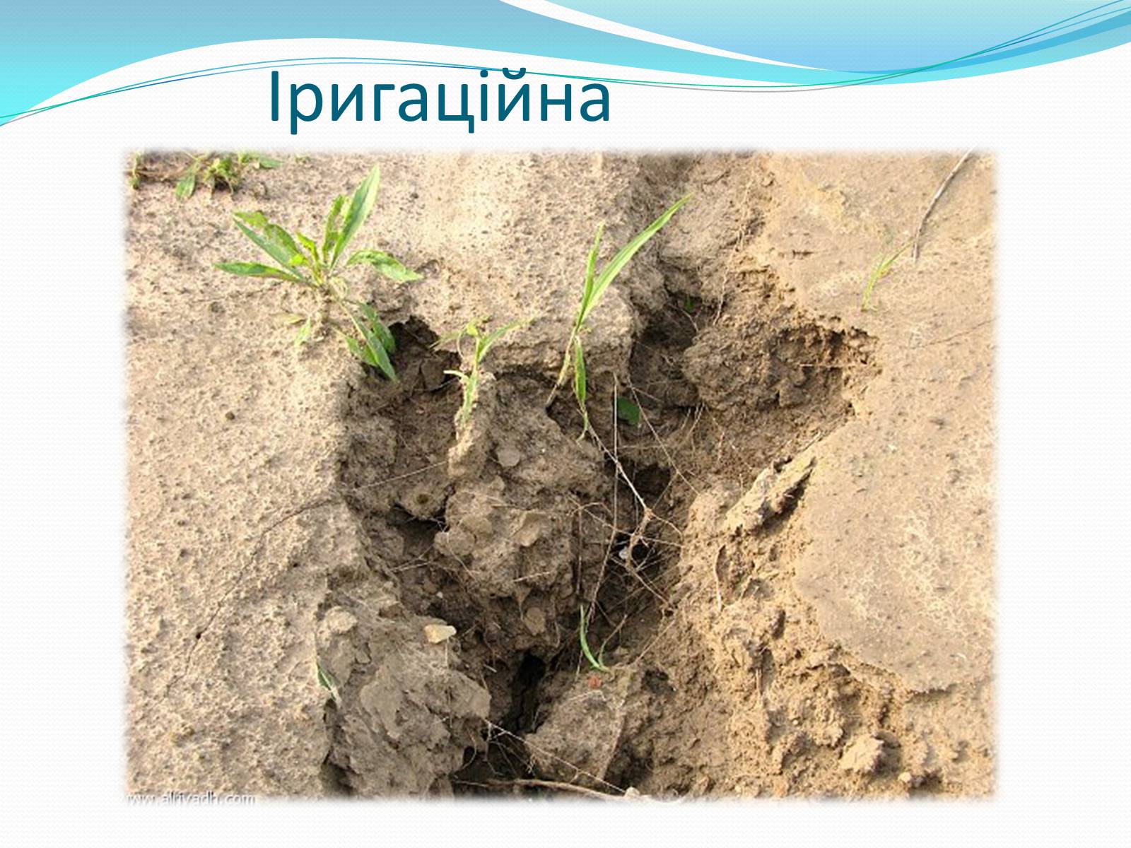Презентація на тему «Водяна та вітряна ерозія грунтів» - Слайд #7 Презентація на тему «Водяна та вітряна ерозія грунтів» - Слайд #7